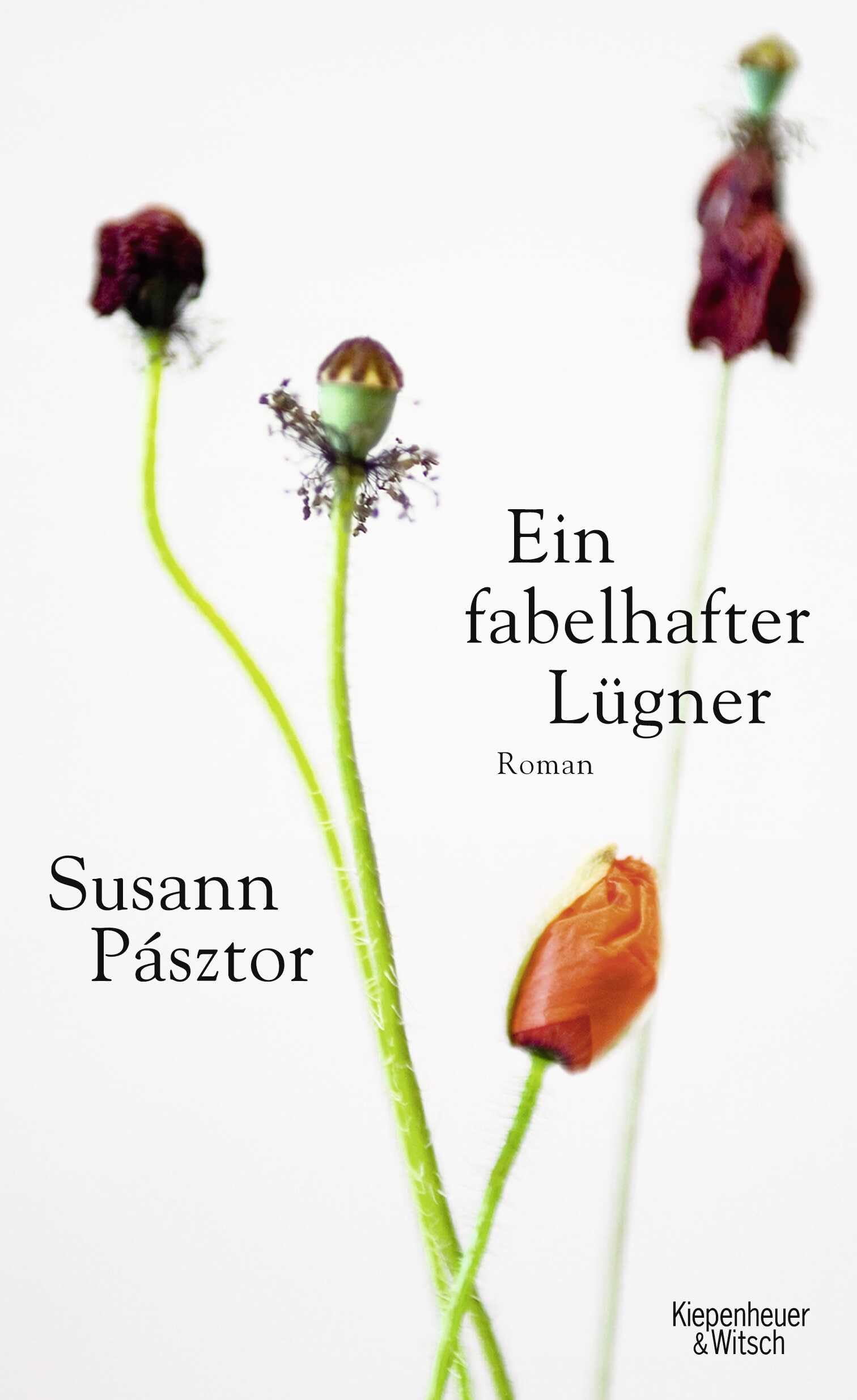 Ein fabelhafter Lügner: Roman Contemporary literature