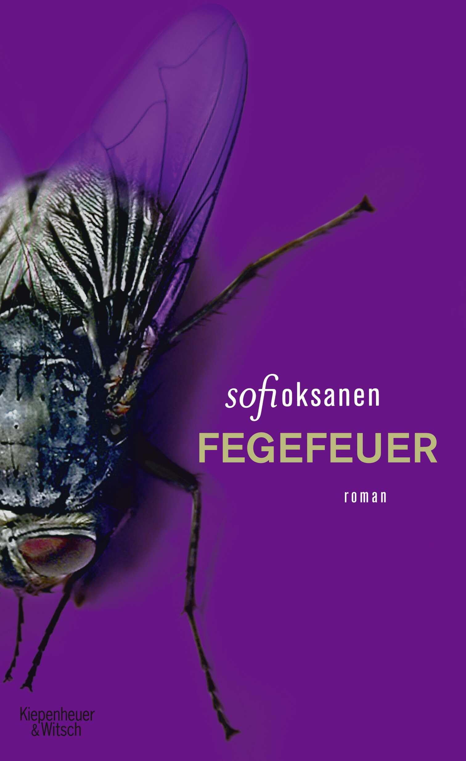 Fegefeuer Contemporary literature Books