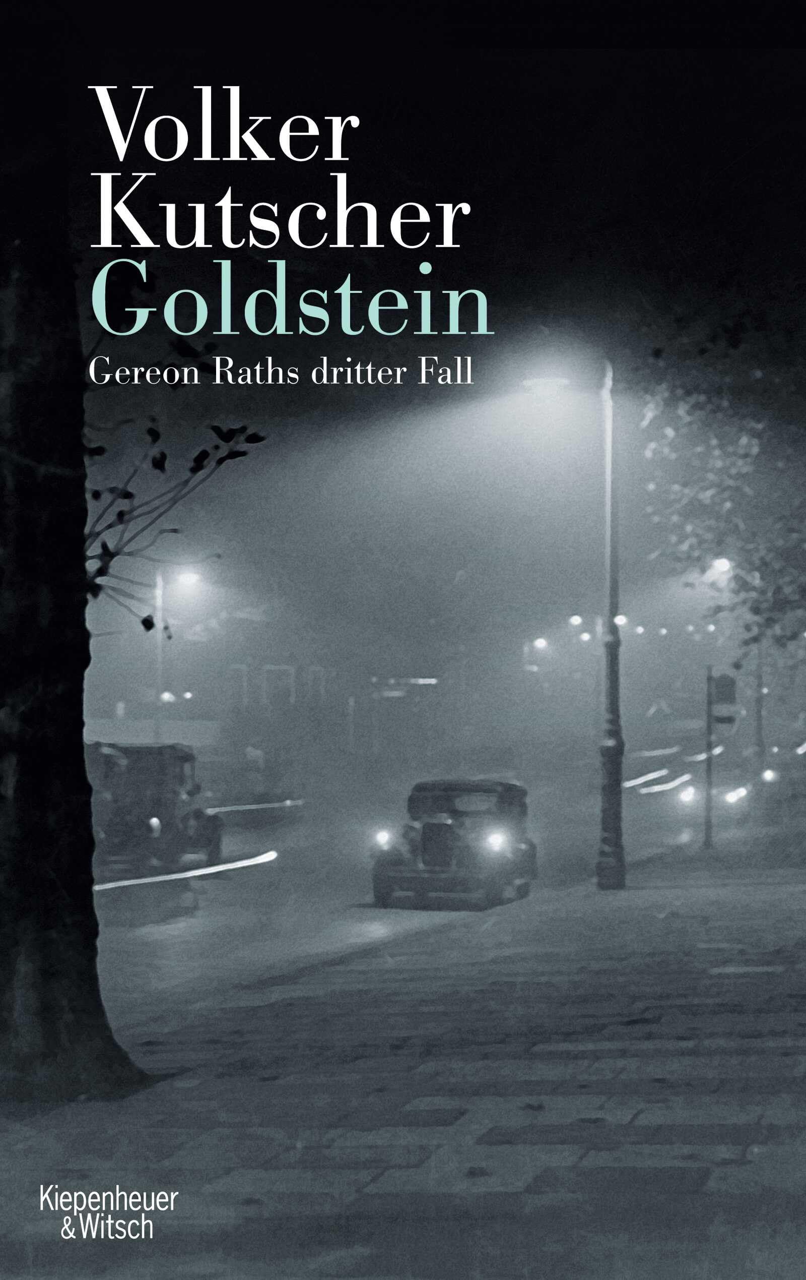 Goldstein Contemporary literature Books