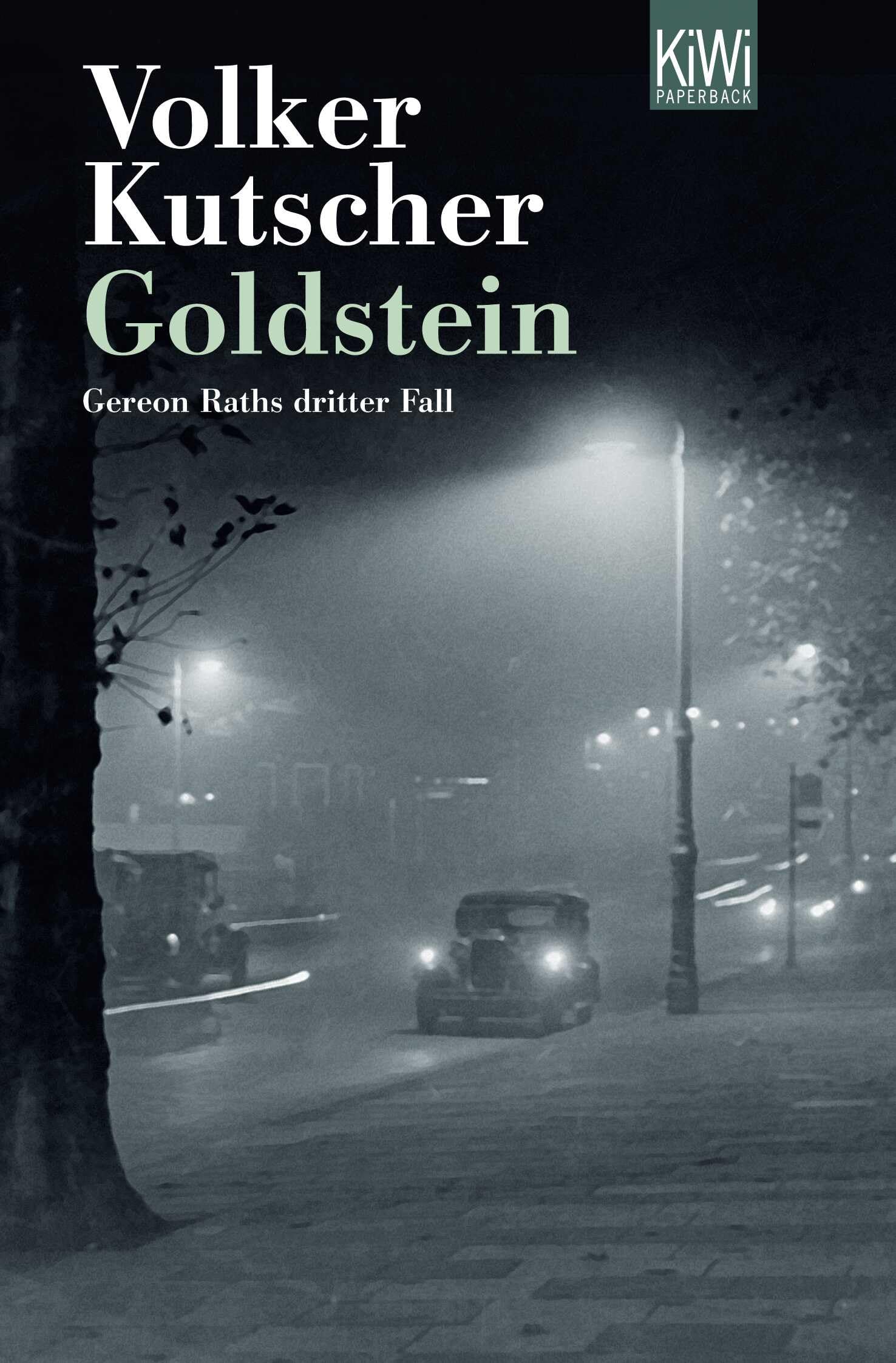 Goldstein Contemporary literature Books