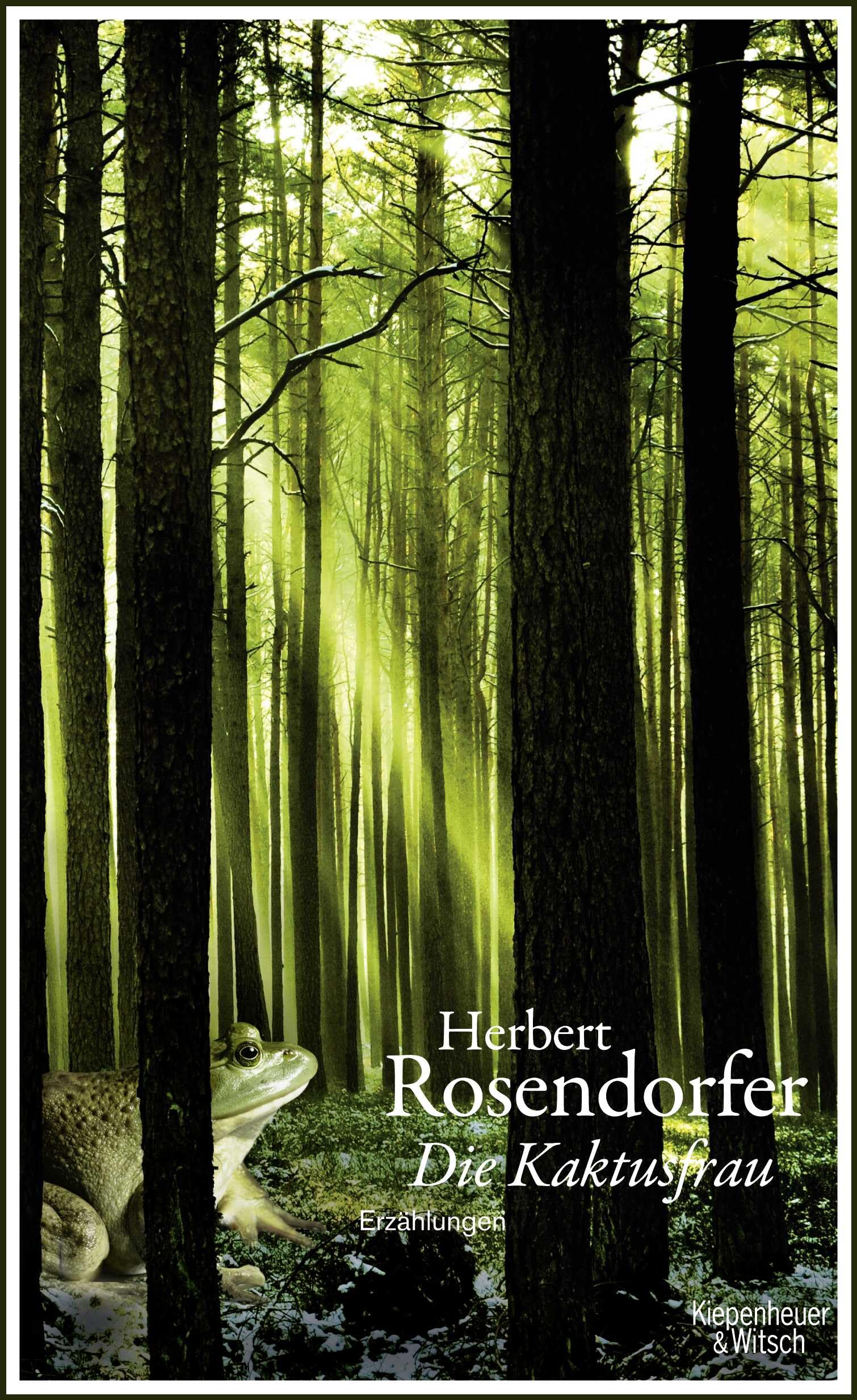 Product Image: Die Kaktusfrau