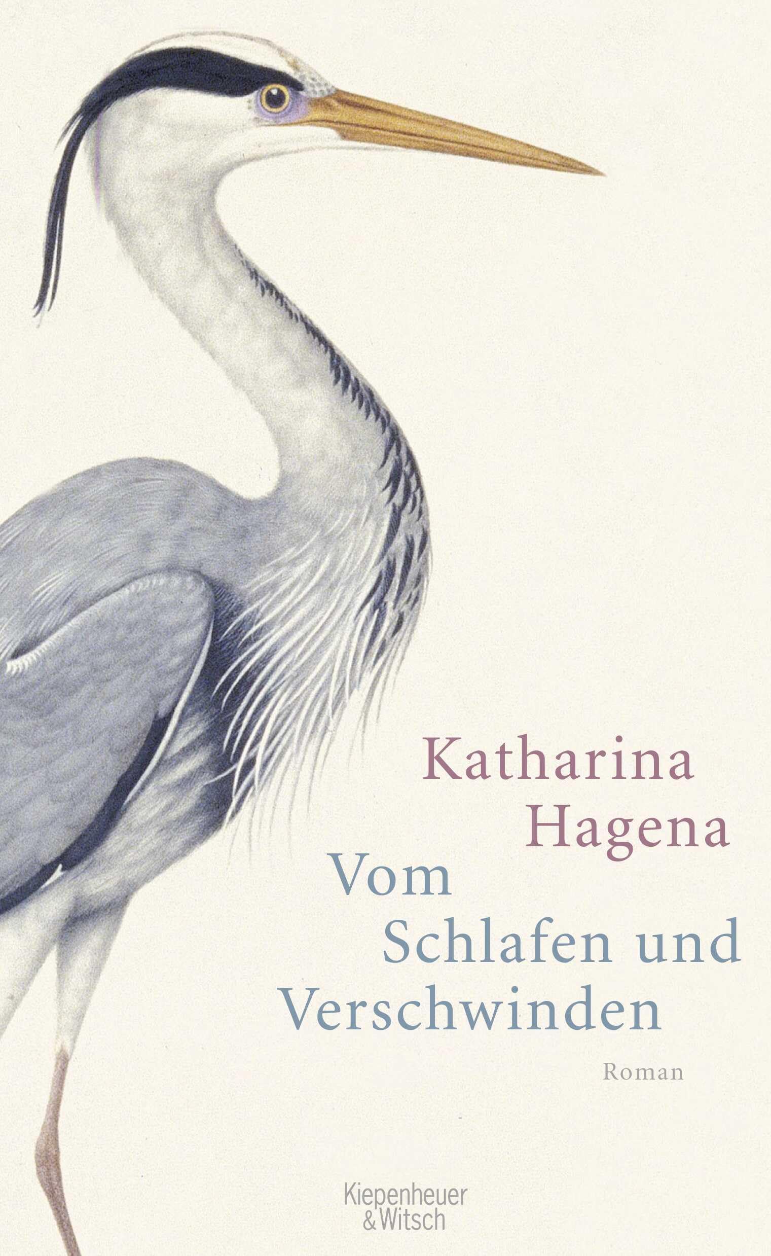 Vom Schlafen und Verschwinden Contemporary literature
