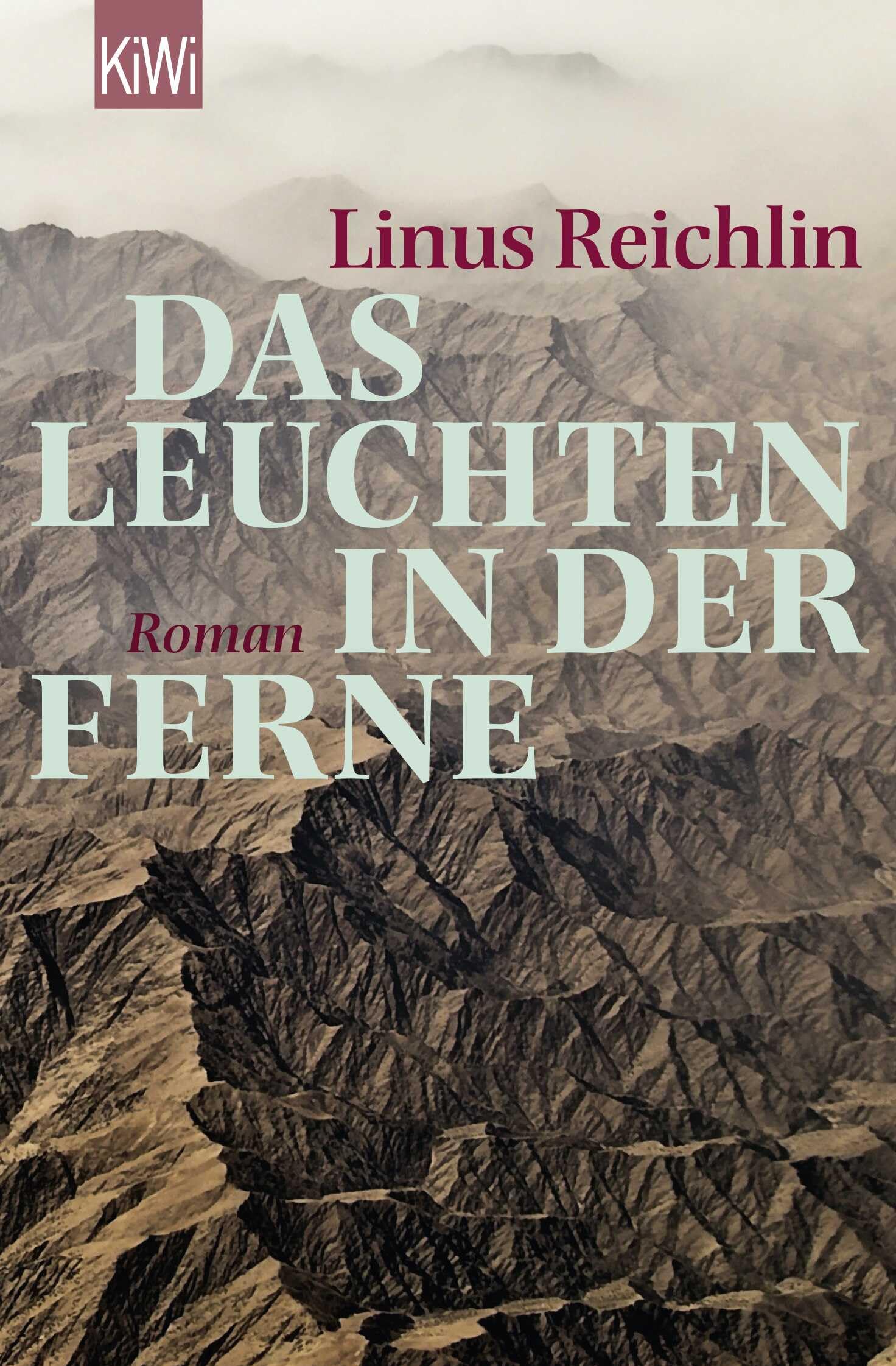 Das Leuchten in der Ferne Contemporary literature Books