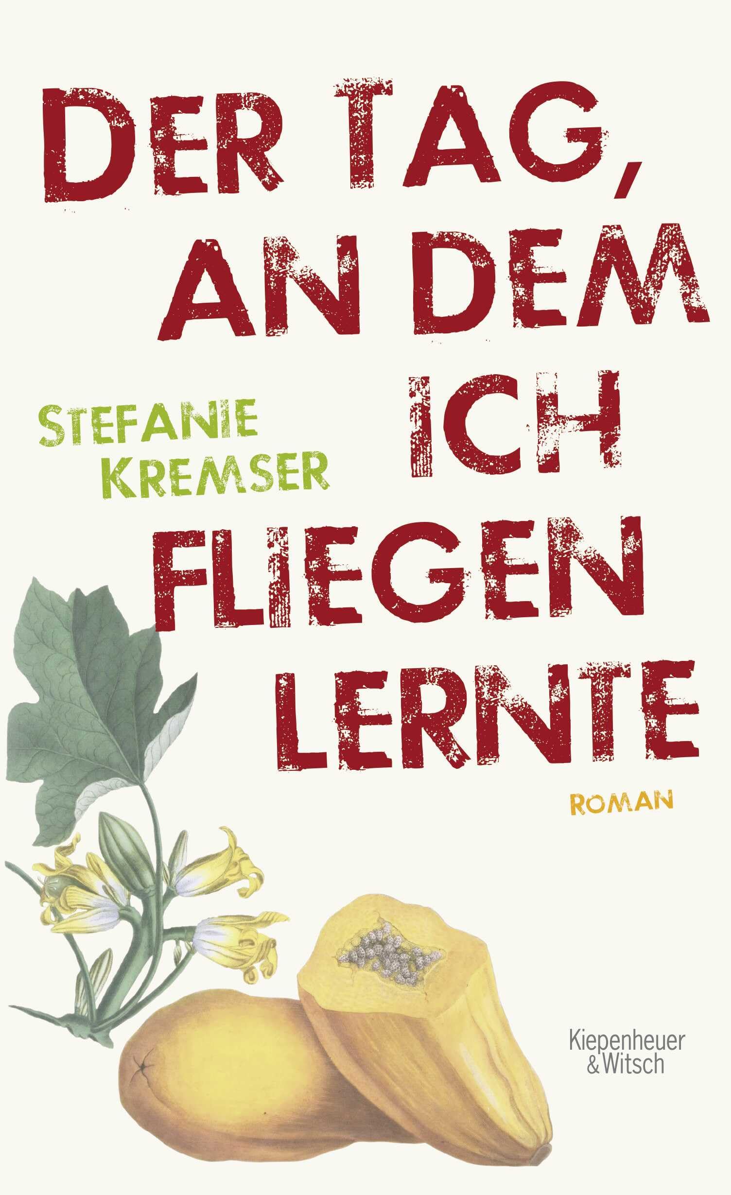 Der Tag, an dem ich fliegen lernte Contemporary literature