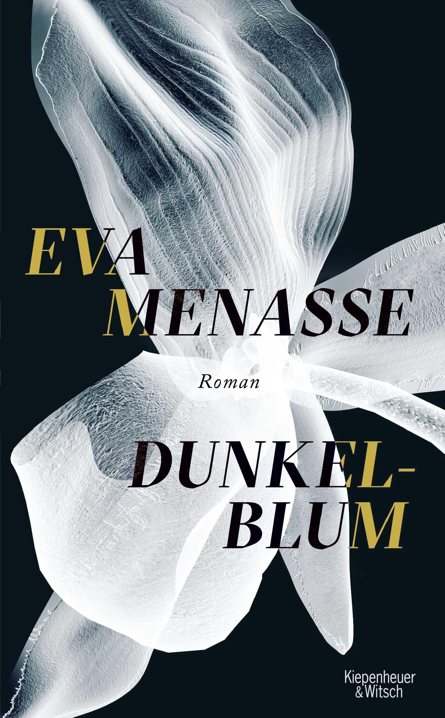 Dunkelblum Social Sciences