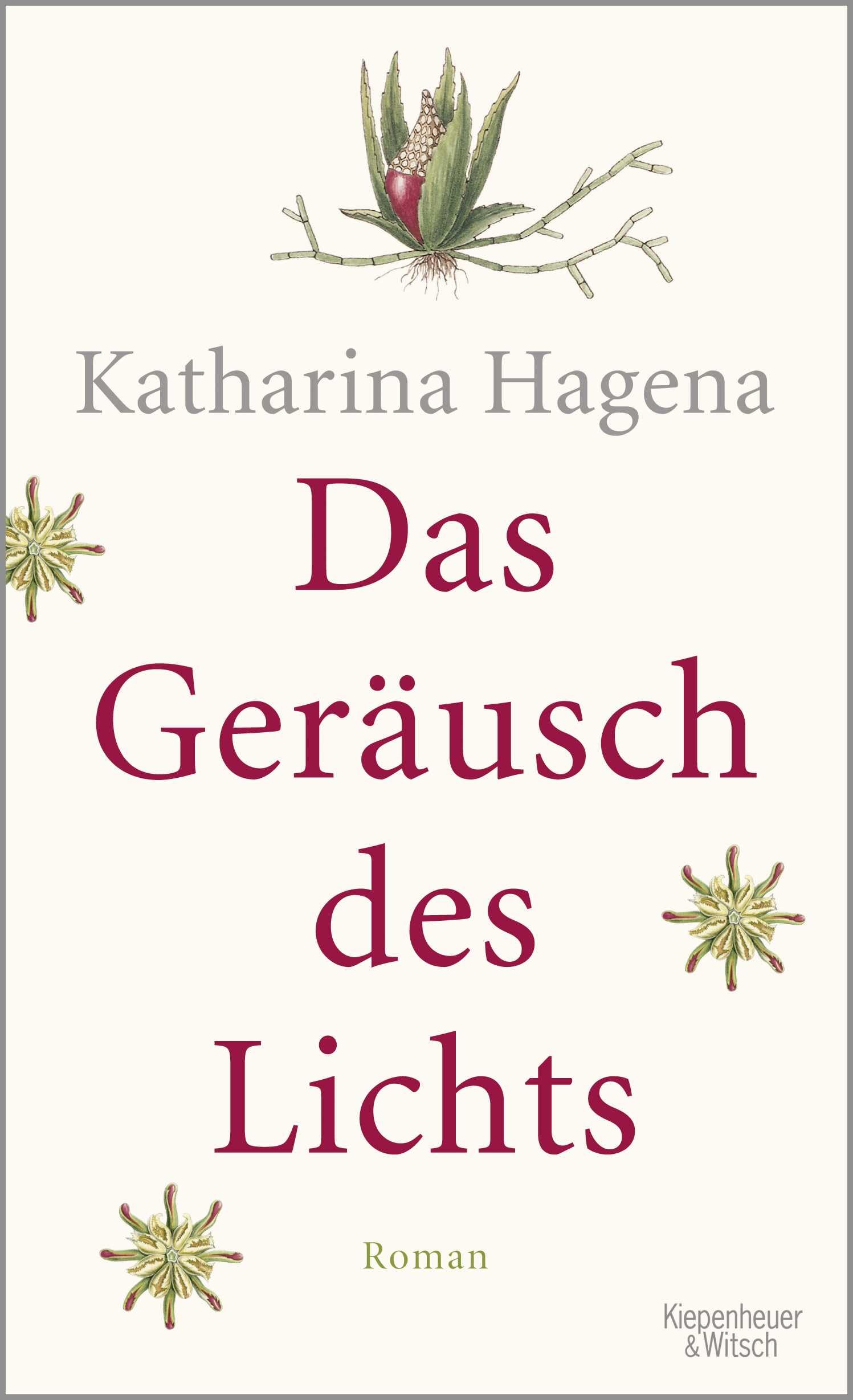 Das Geräusch des Lichts Contemporary literature Books