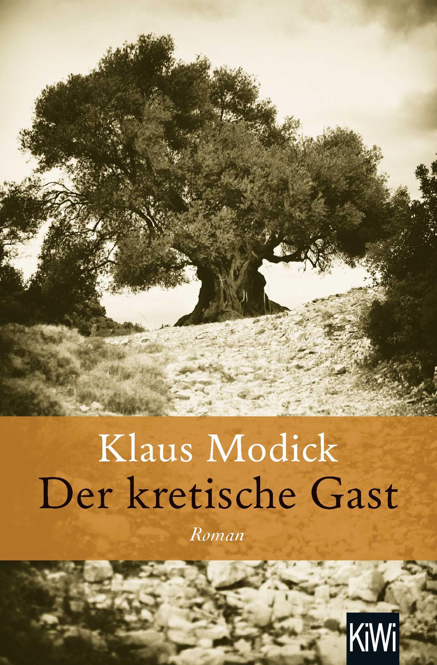 Der kretische Gast Contemporary literature Books