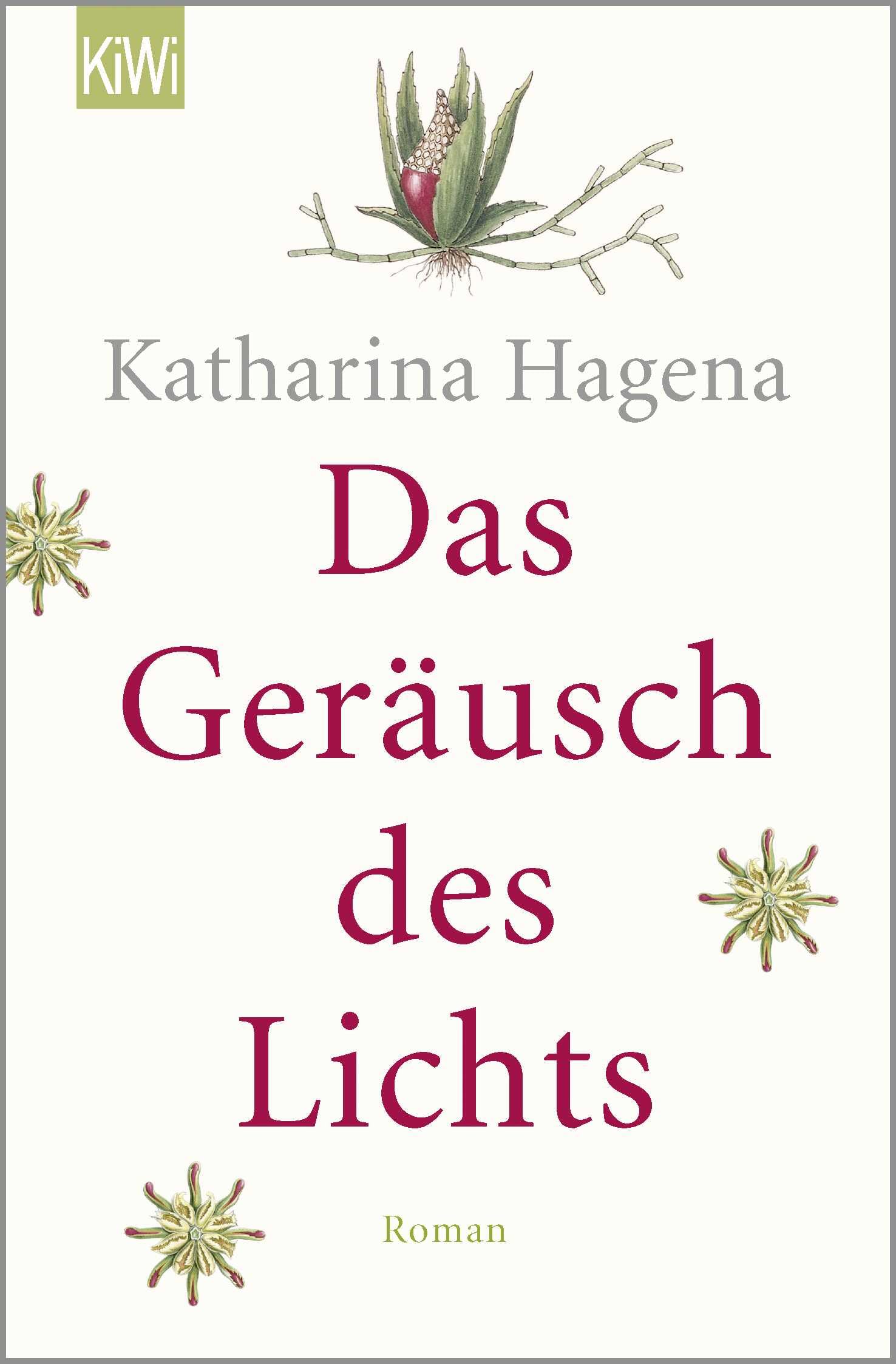 Das Geräusch des Lichts Contemporary literature Books