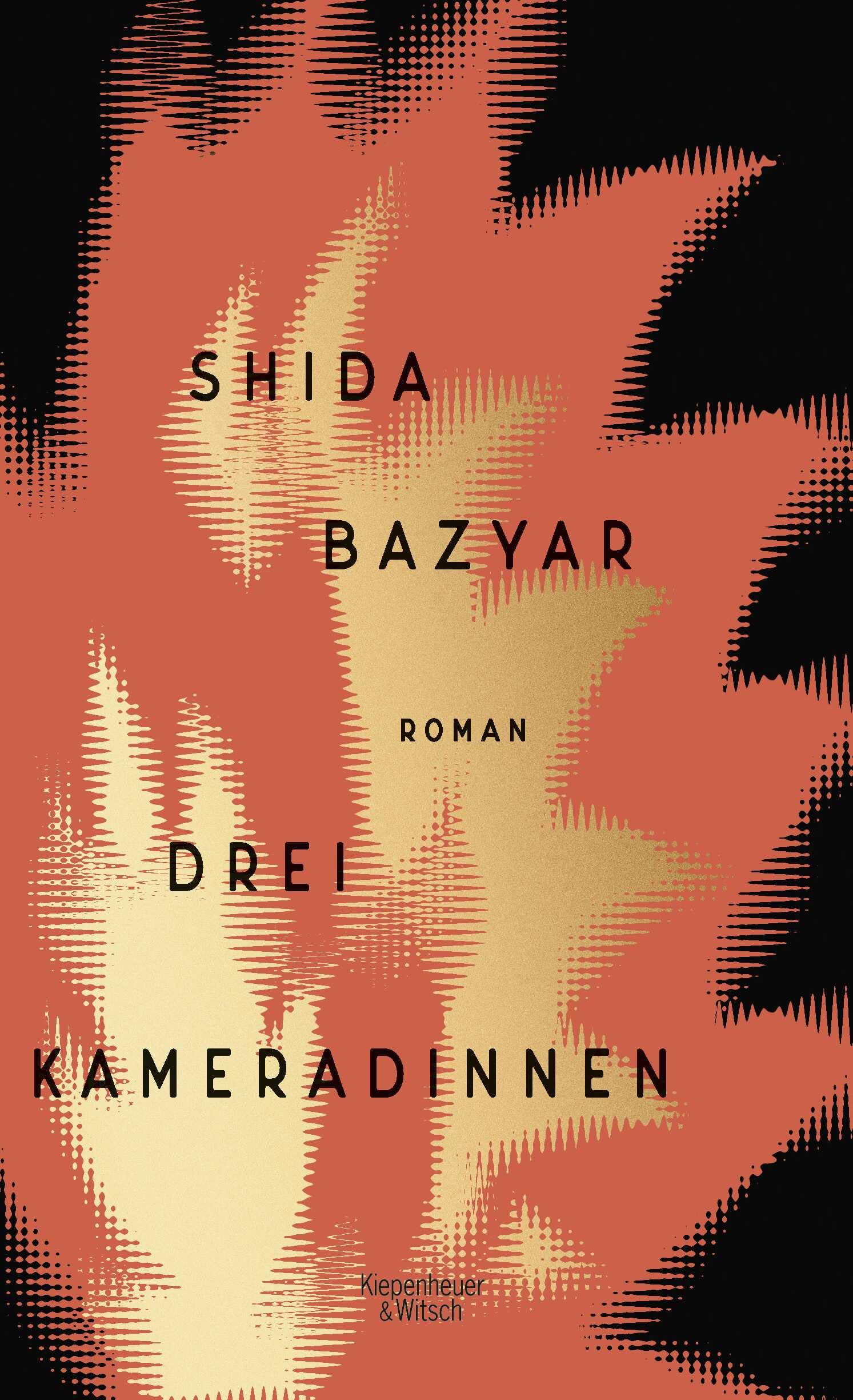 Drei Kameradinnen Social Sciences Books