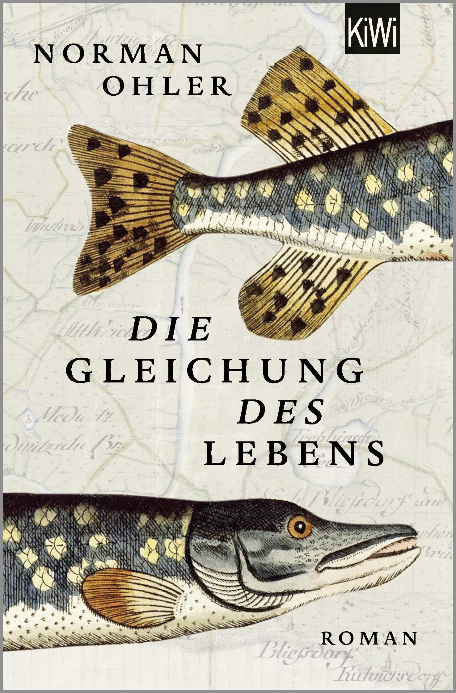 Die Gleichung des Lebens Contemporary literature