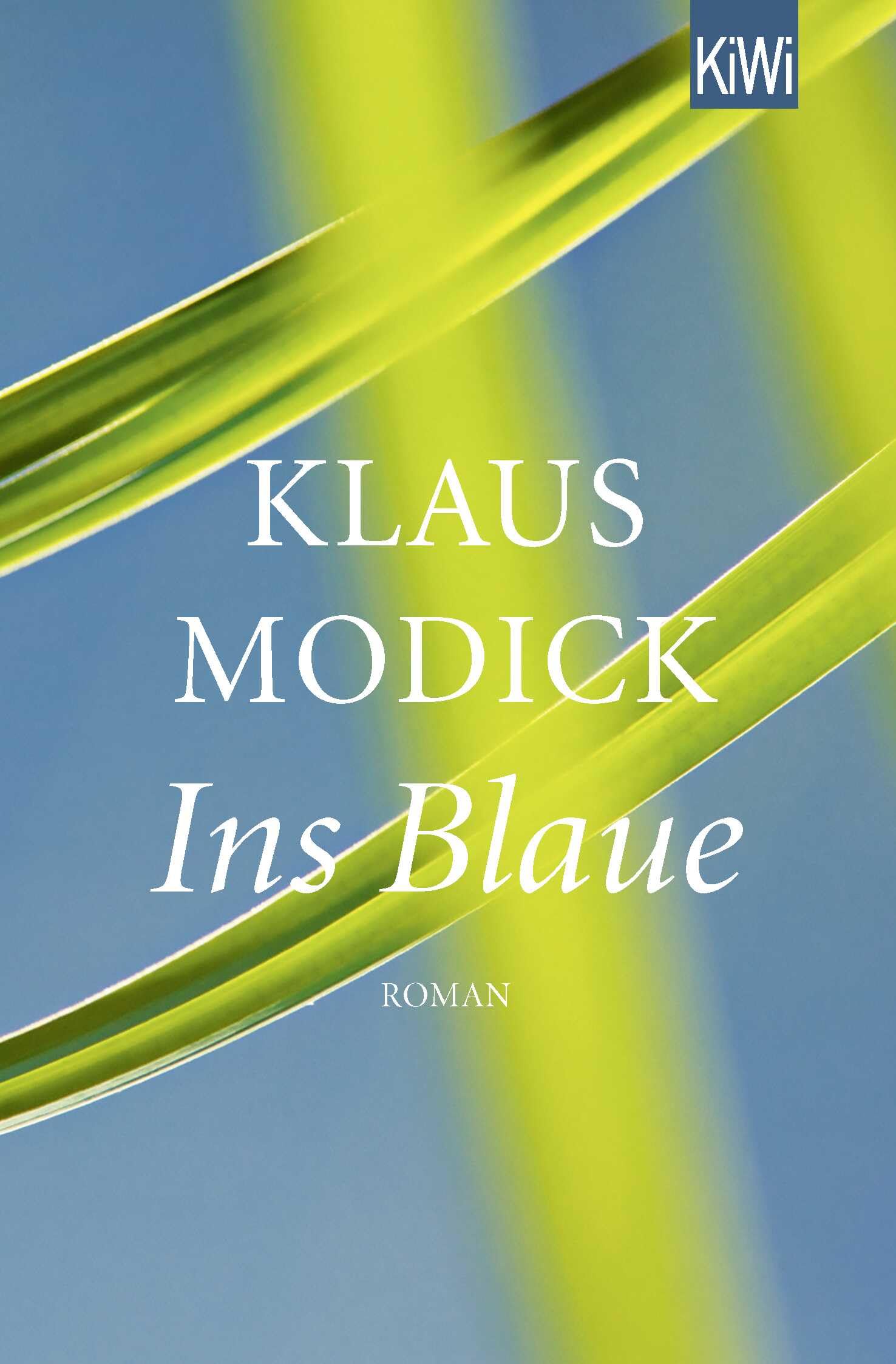 Ins Blaue Contemporary literature