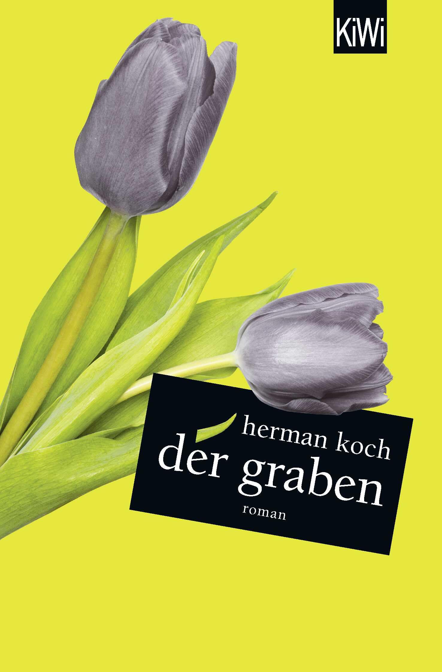 Der Graben Contemporary literature Books