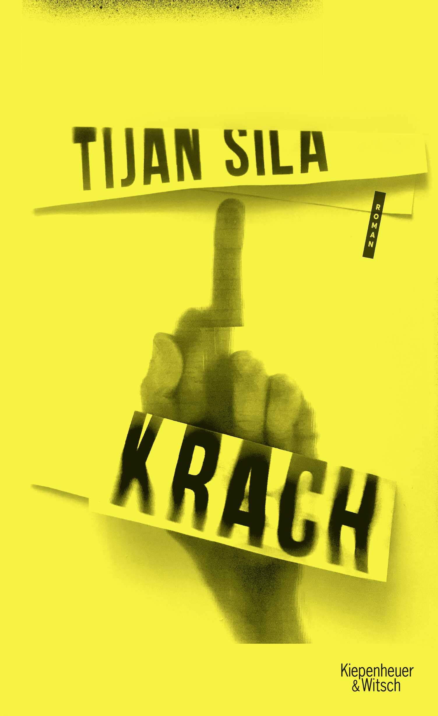 Krach Contemporary literature Books