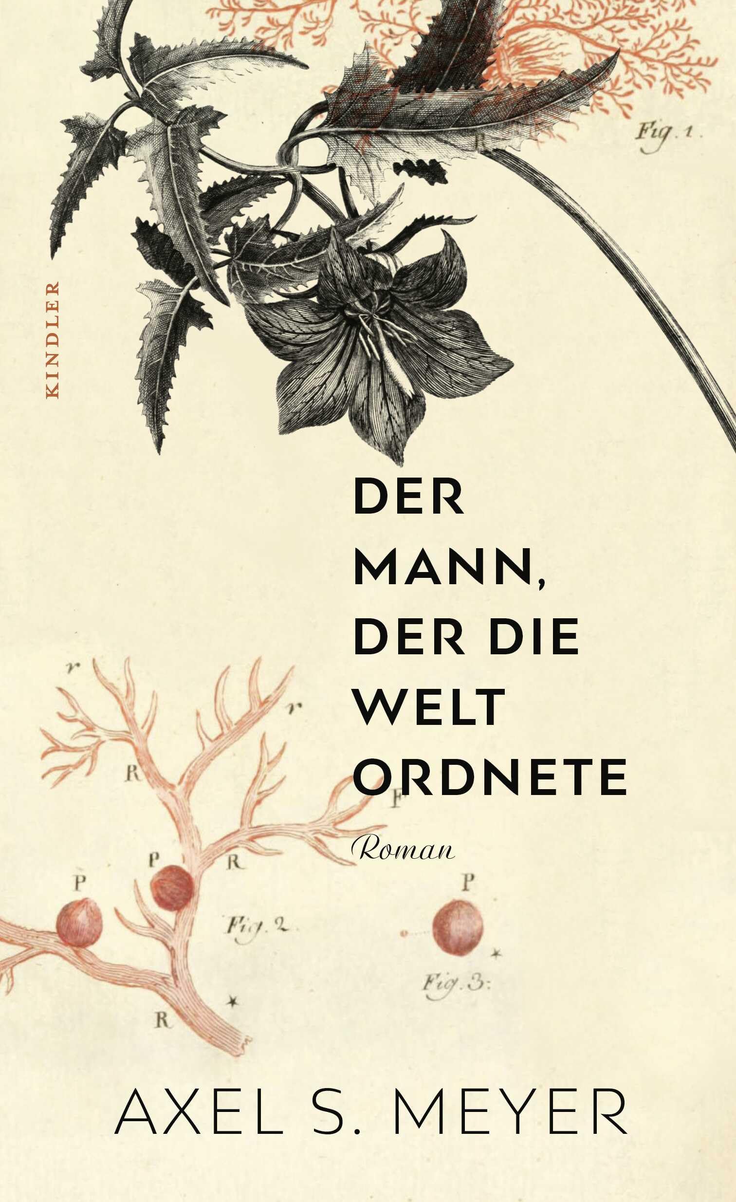 Der Mann, der die Welt ordnete Contemporary literature Books