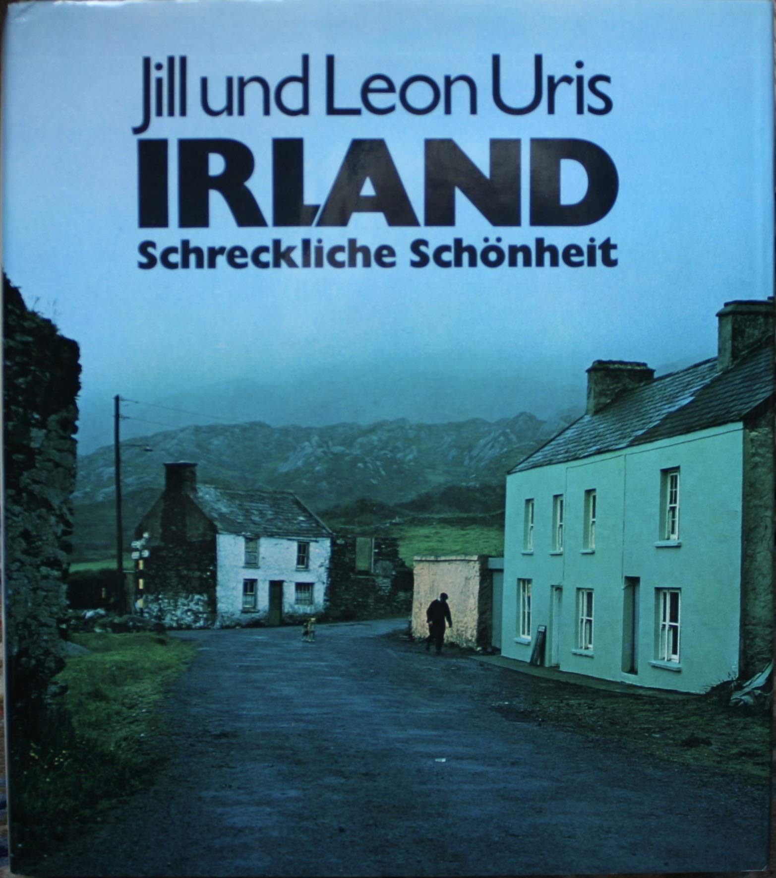 Irland, Schreckliche Schönheit. Eine Geschichte des heutigen Irlands Travel