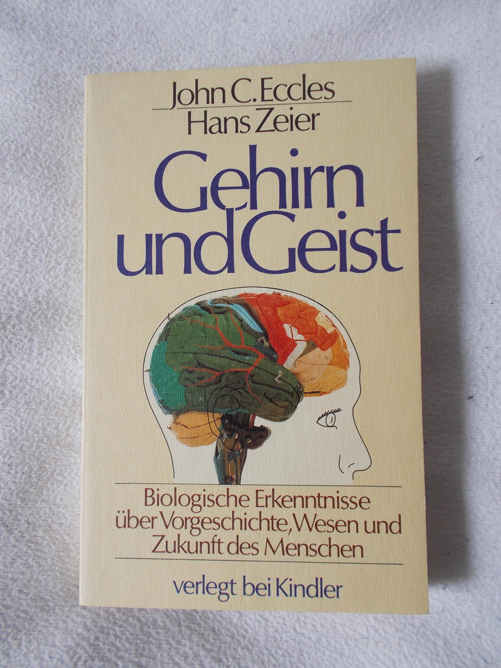 Product Image: Gehirn und Geist