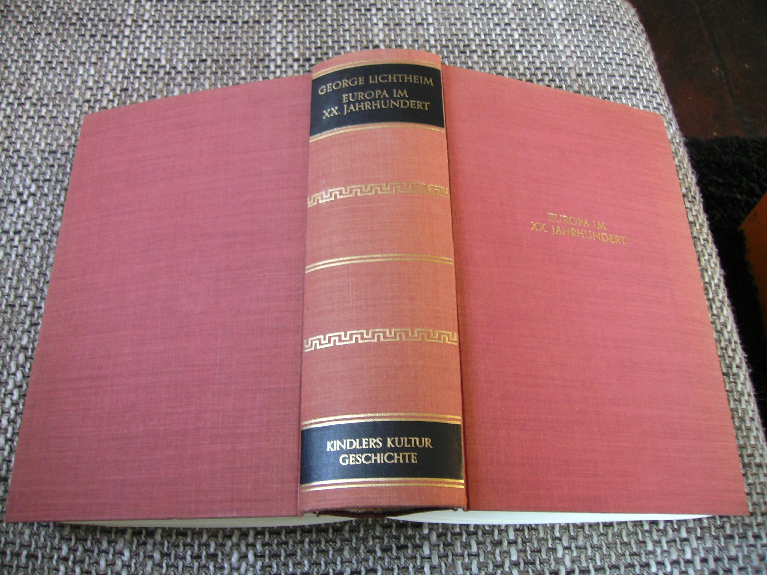 Europa im Zwanzigsten Jahrhundert. Eine Geistesgeschichte der Gegenwart Books