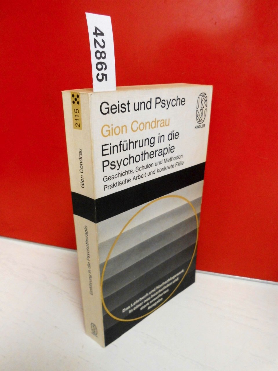 Einführung in die Psychotherapie - Geschichte, Schulen und Methoden - Praktische Arbeit und konkrete Fälle. (Geist und Psyche) Medicine