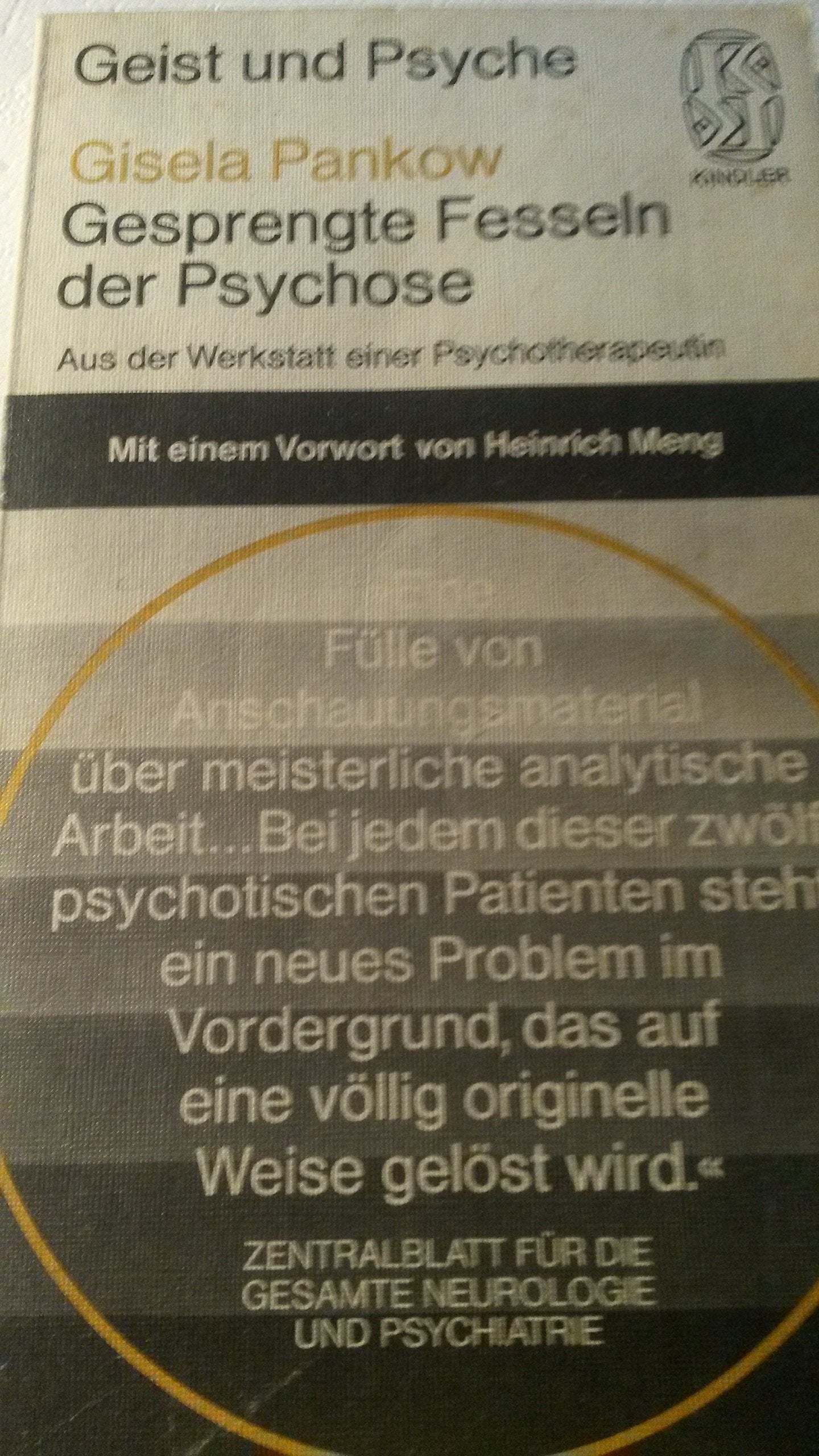 Gesprengte Fesseln der Psychose. Aus der Werkstatt einer Psychotherapeutin Medicine