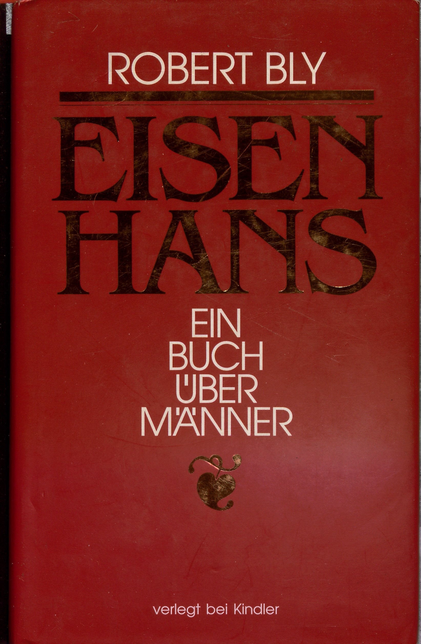 Eisenhans. Ein Buch über Männer General education