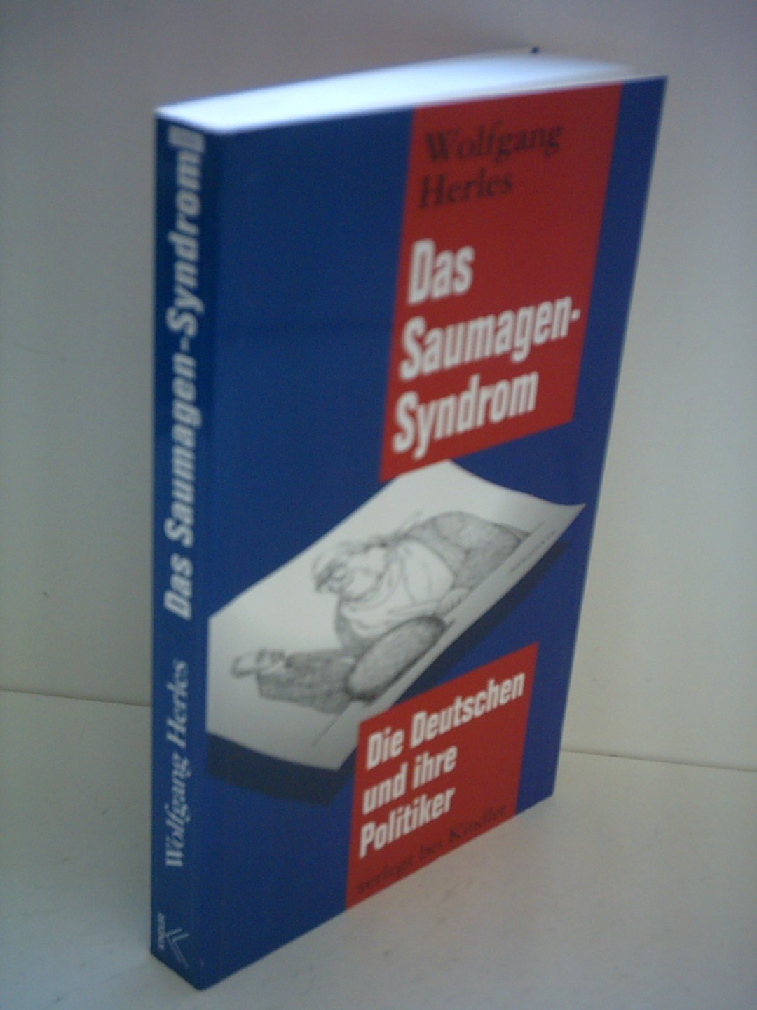 Das Saumagen-Syndrom: Die Deutschen und Ihre Politiker Politics & History