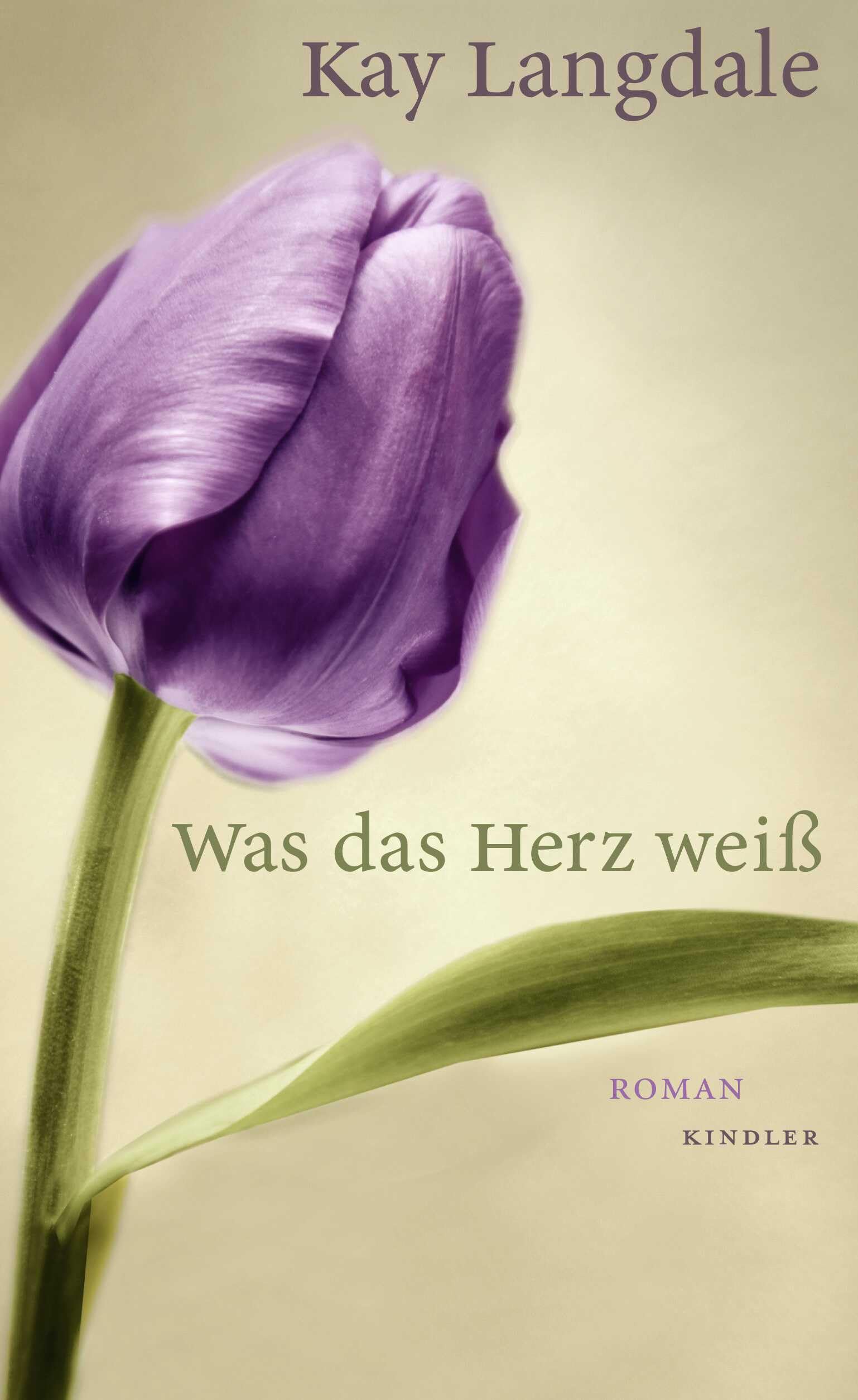 Was das Herz weiß: Roman Contemporary literature