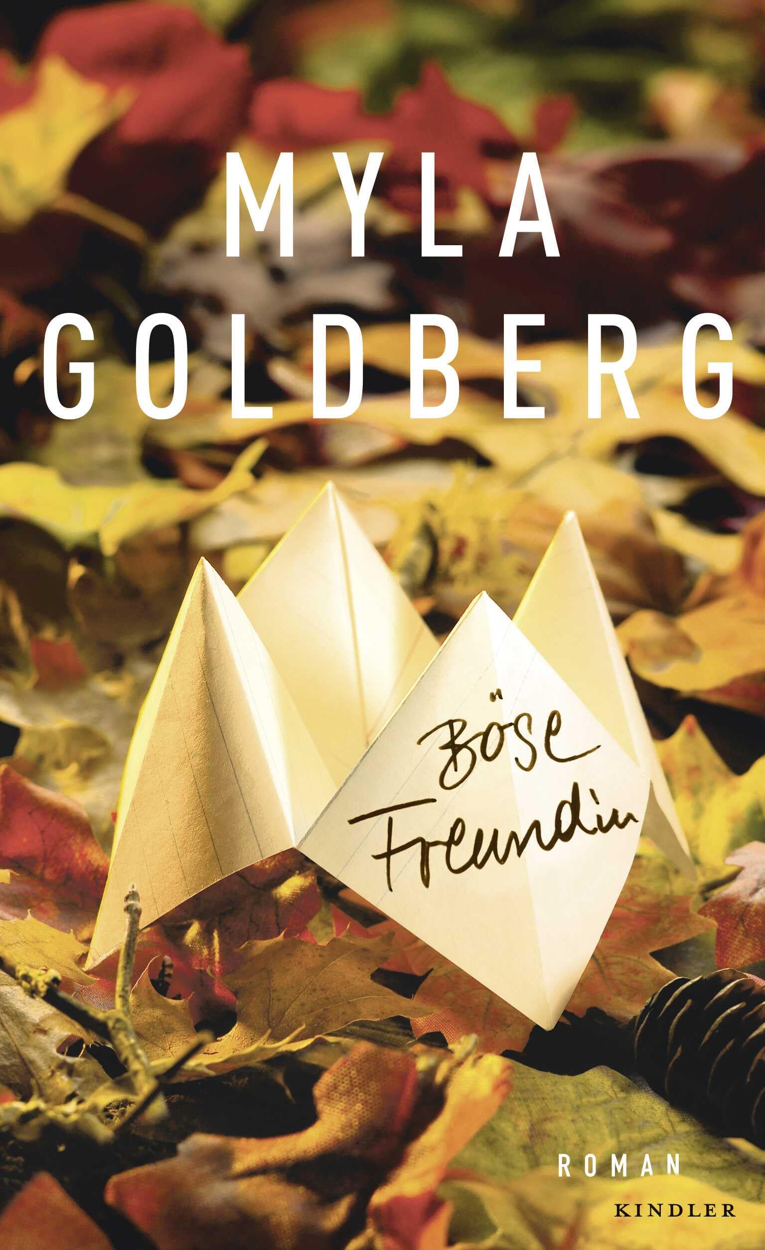 Böse Freundin: Roman Contemporary literature