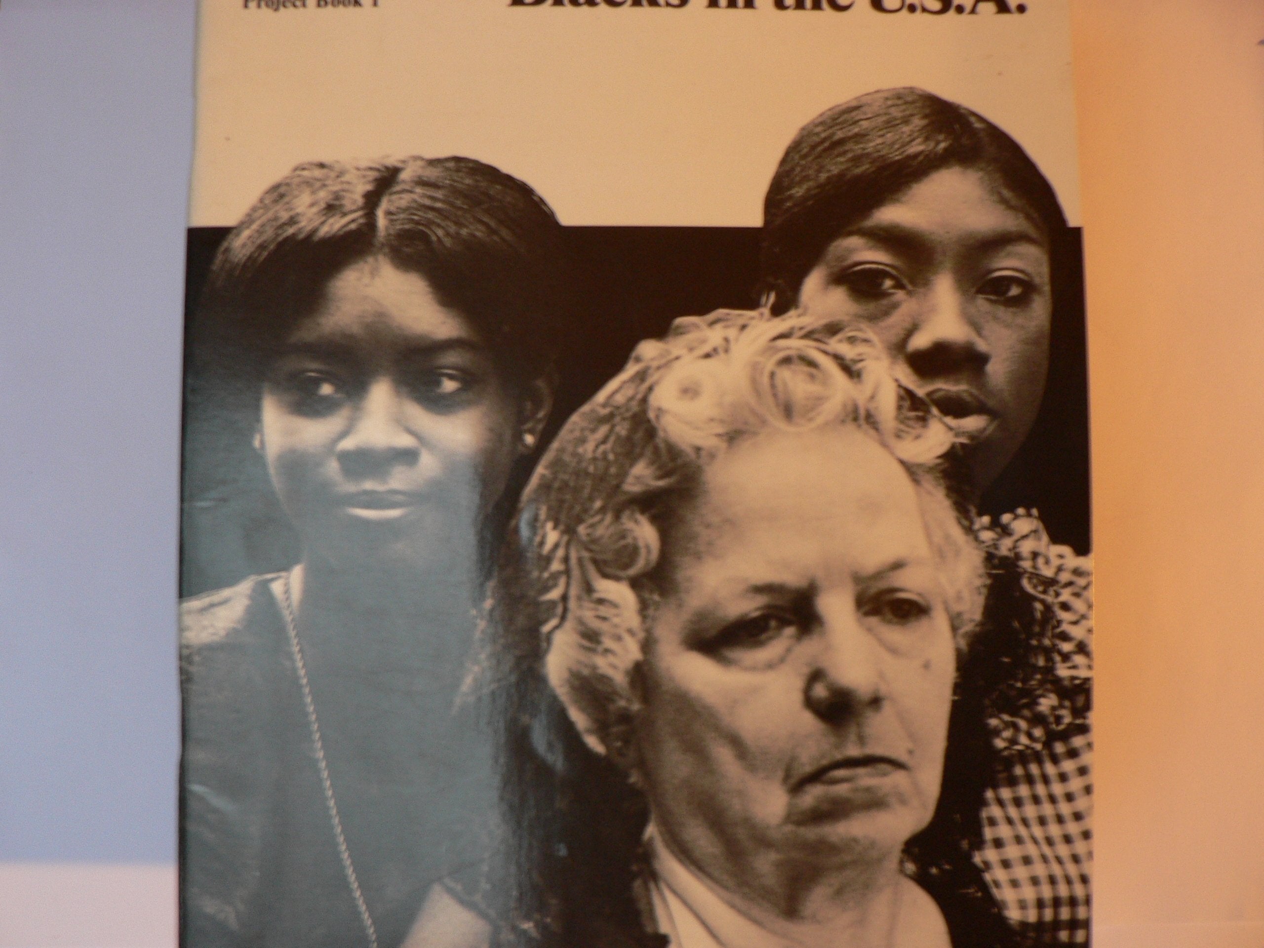 ENGLISH - Project Book 1 - Blacks in the U.S.A. Film, Art & Culture