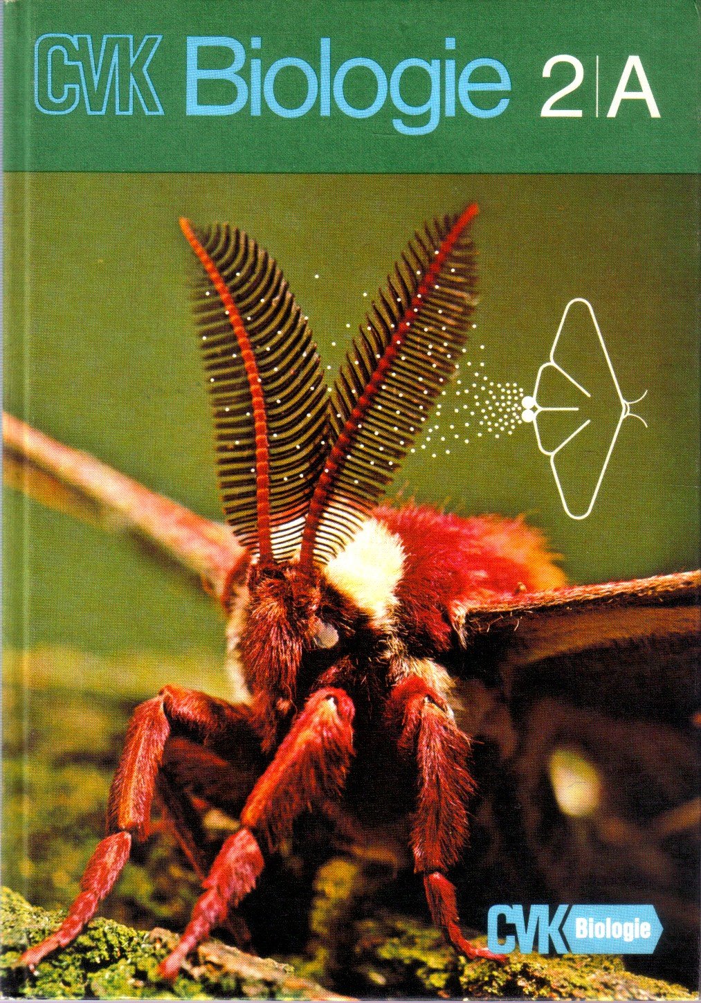 CVK-Biologie - Allgemeine Ausgabe: CVK Biologie für Realschulen und Gymnasien, Bd.2A Learning & Reference