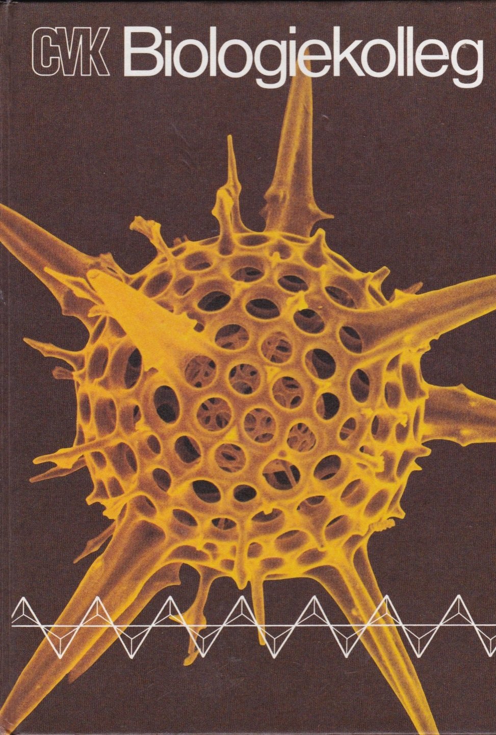CVK-Biologie-Kolleg. Medienverbund für Grund- und Leistungskurs der Sekundarstufe II. Gesamtthemenband Natural Sciences