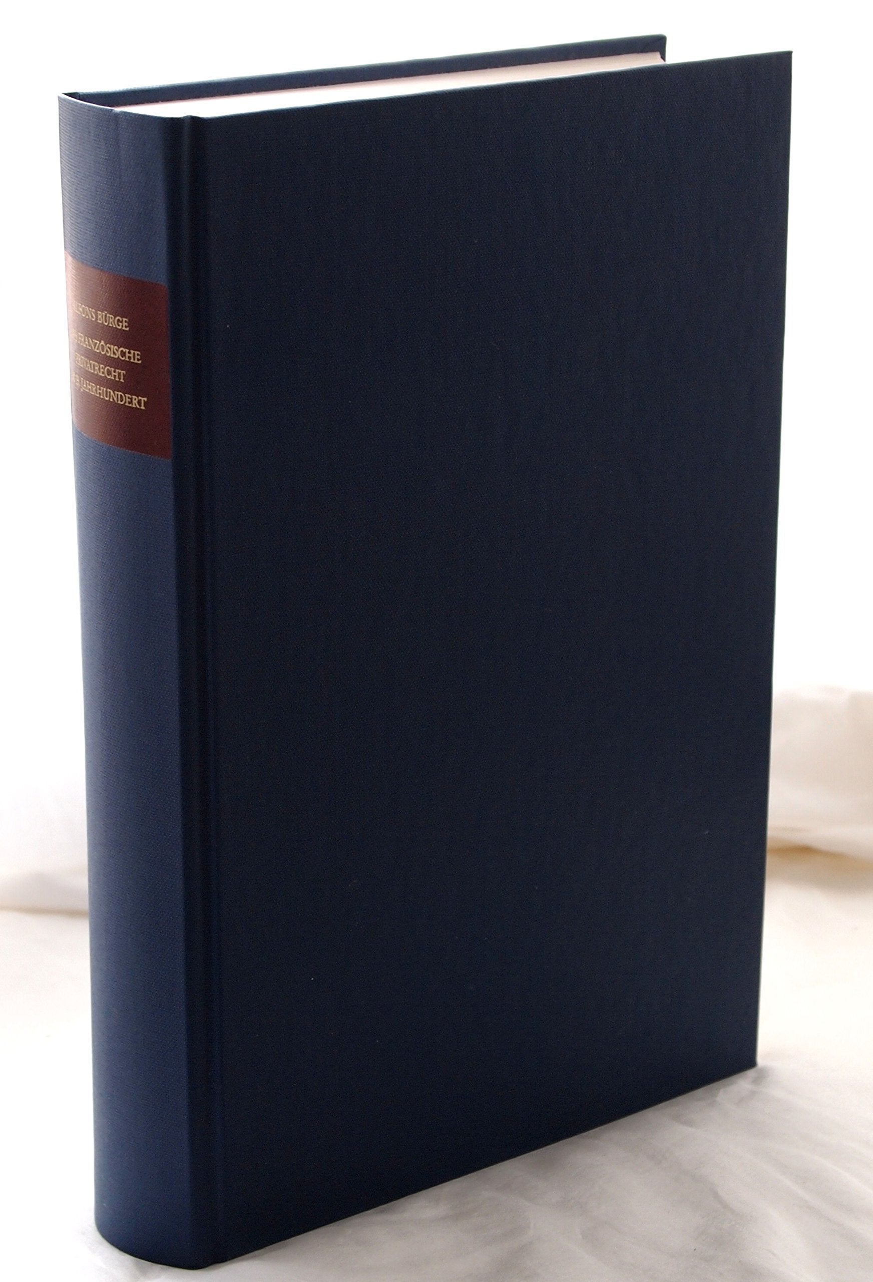 Das französische Privatrecht im 19. Jahrhundert: Zwischen Tradition und Pandektenwissenschaft, Liberalismus und Etatismus (Studien zur Europäischen Rechtsgeschichte) Law