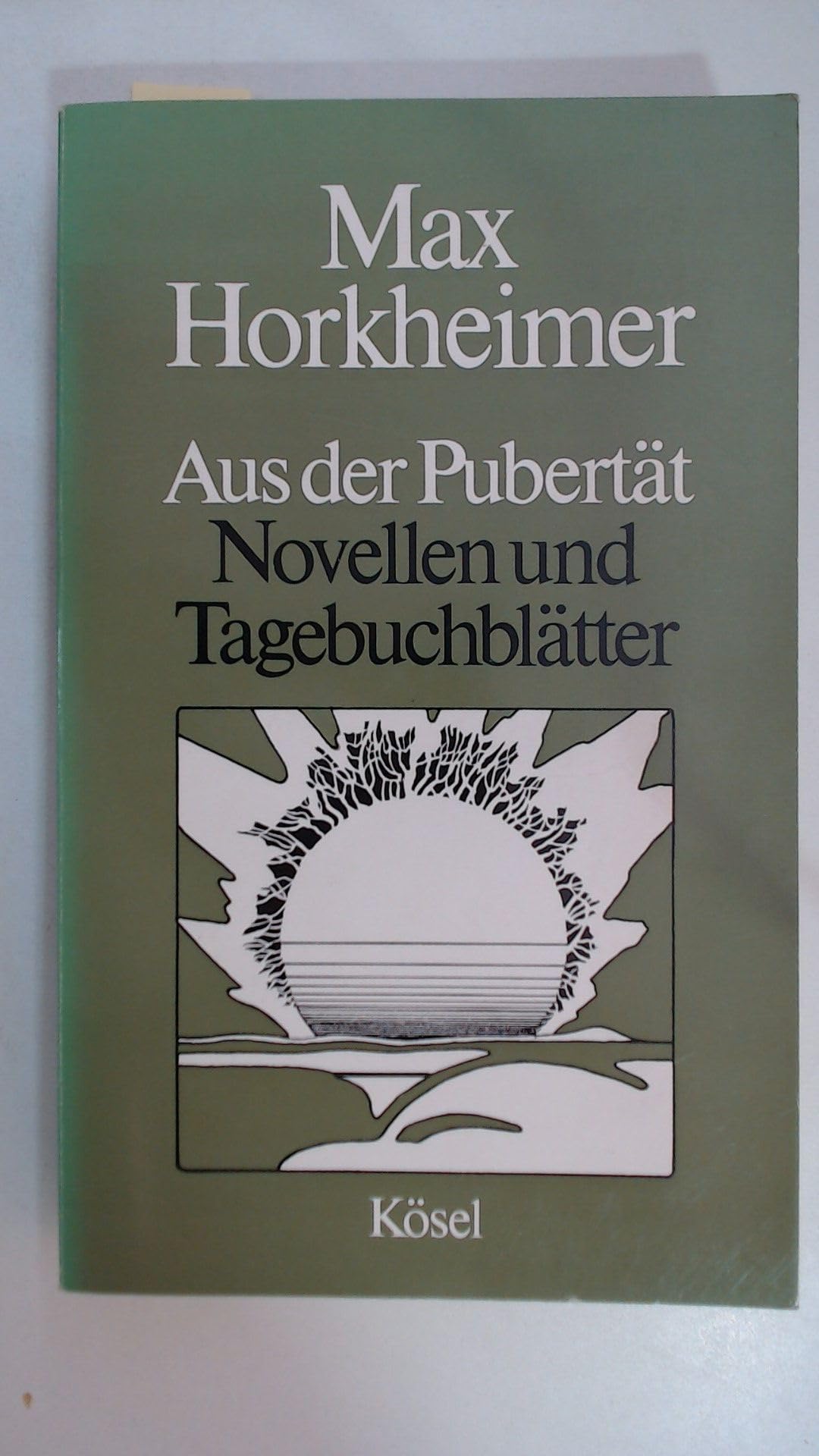 Aus der Pubertät. Novellen und Tagebuchblätter Books
