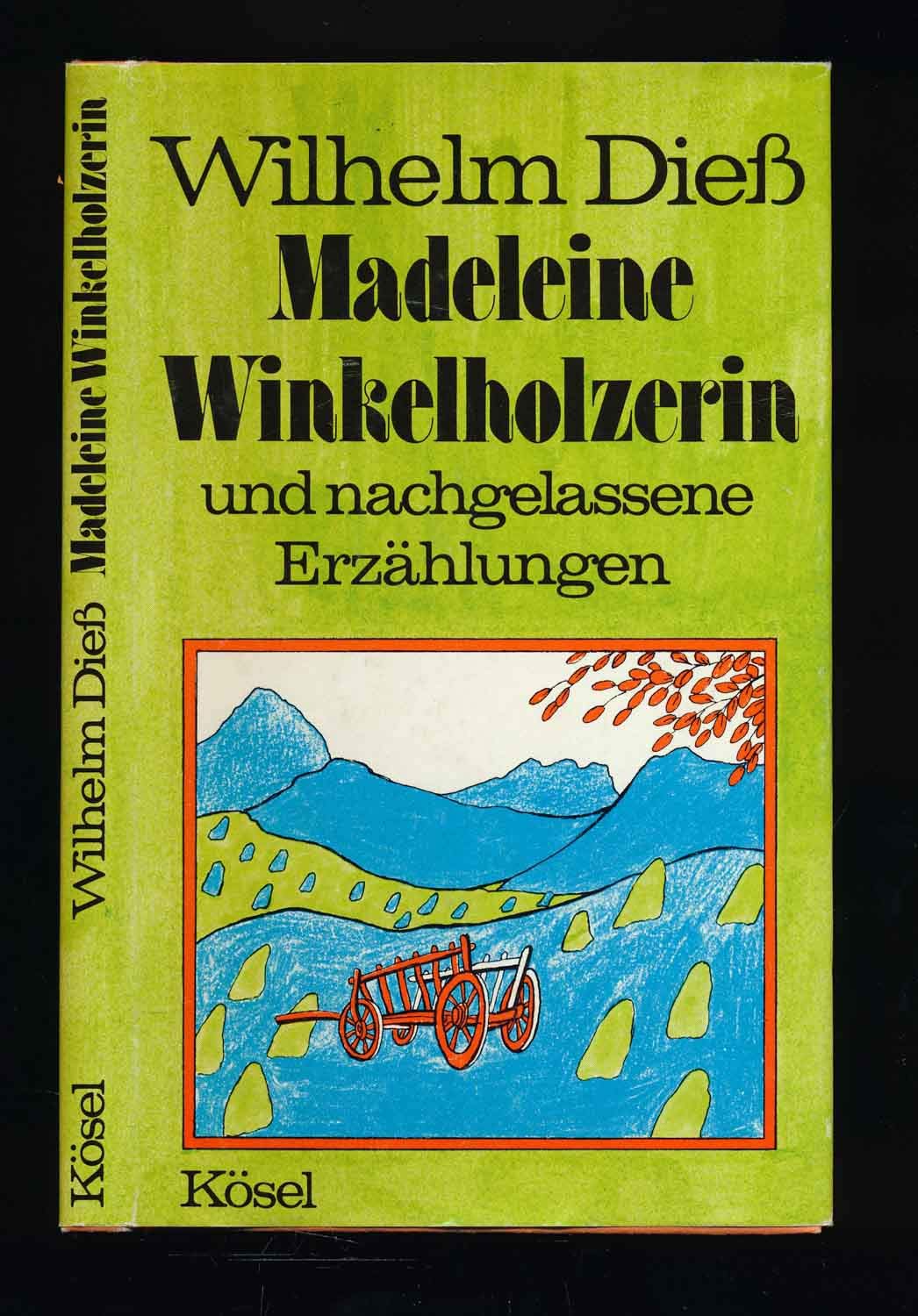 Madeleine Winkelholzerin und nachgelassene Erzählungen. ( Erzählungen, Bd. IV) Books