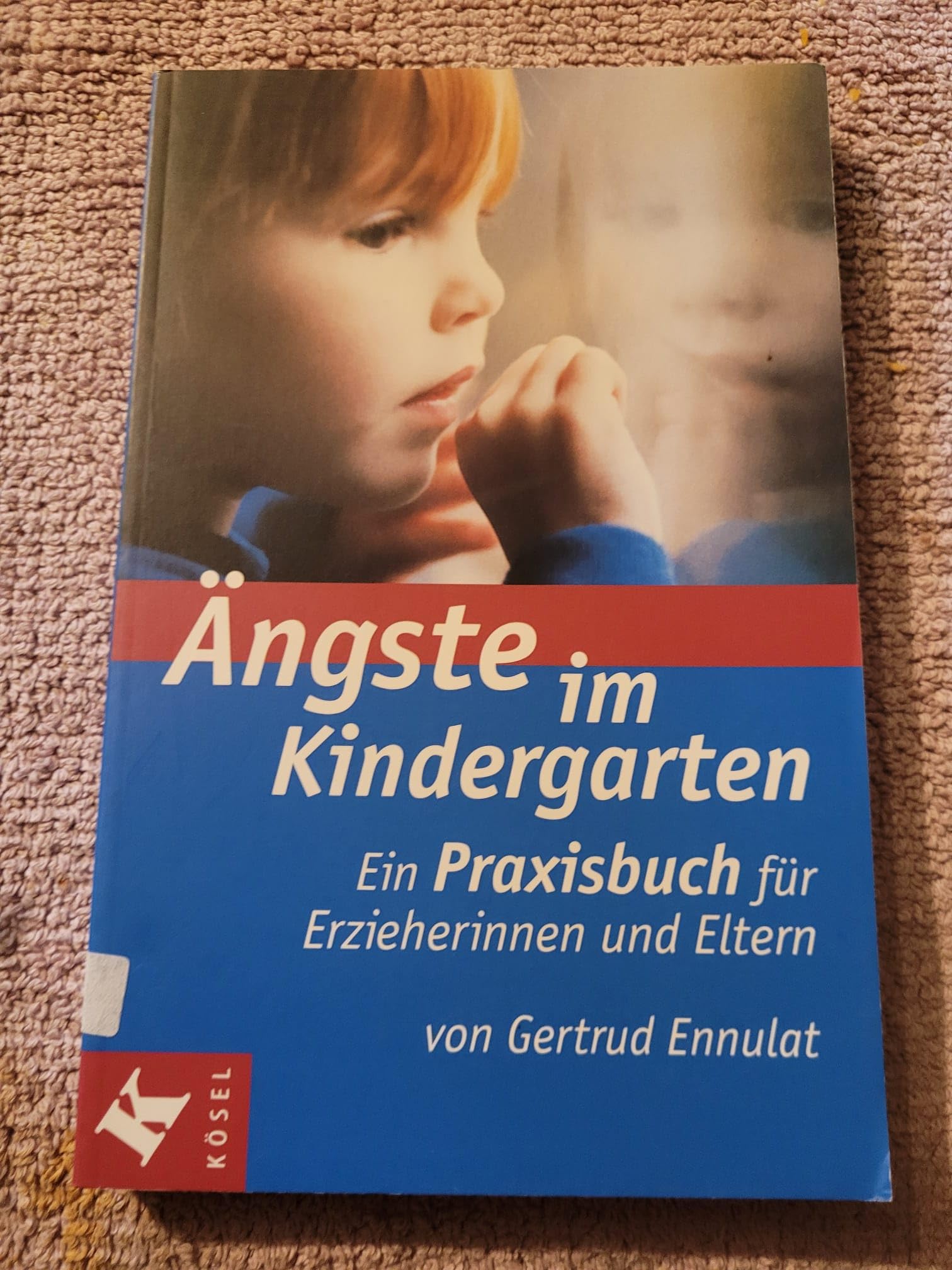 Ängste im Kindergarten: Ein Praxisbuch für Erzieherinnen und Eltern Books
