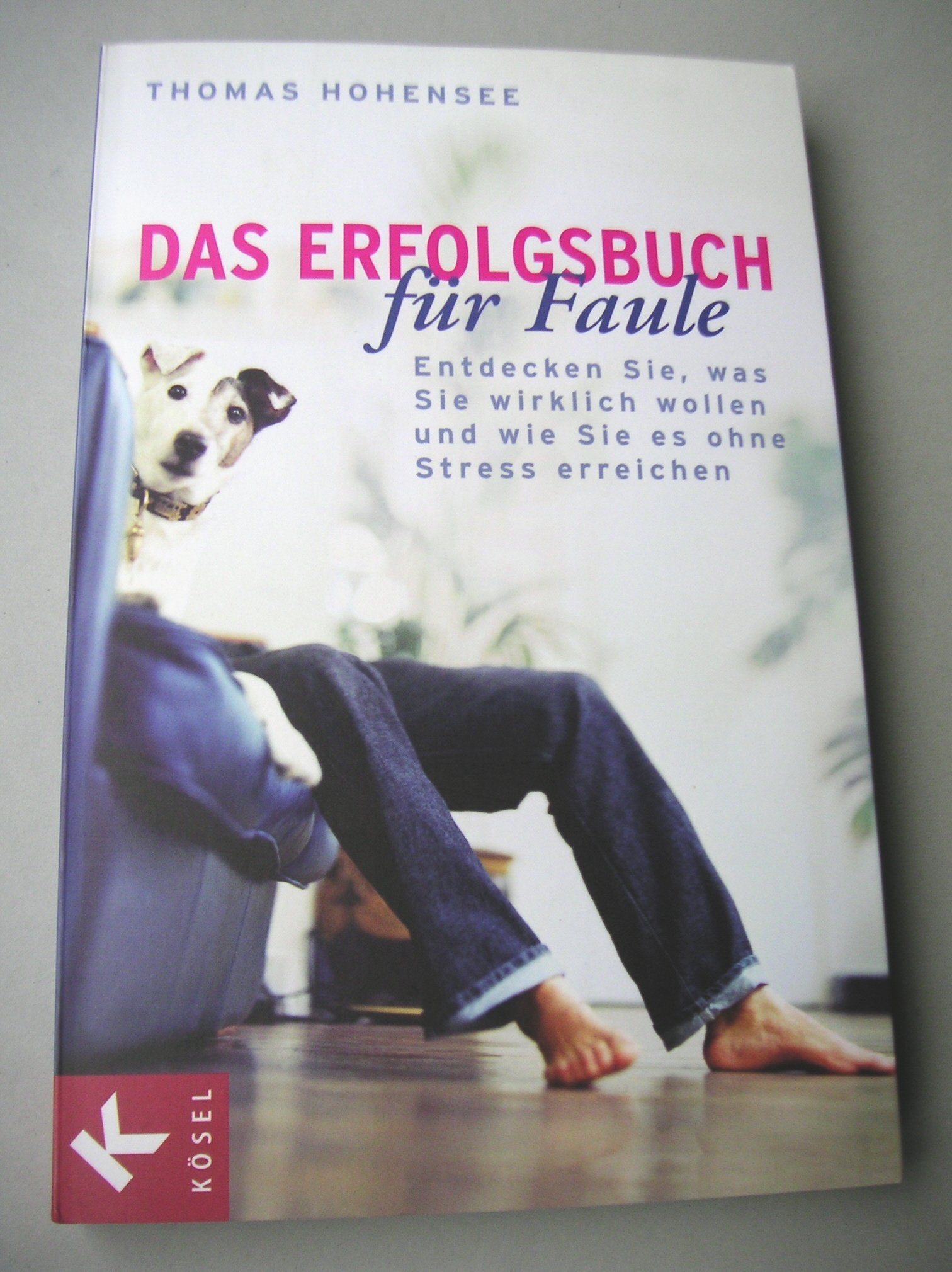 Das Erfolgsbuch für Faule: Entdecken Sie, was Sie wirklich wollen und wie Sie es ohne Stress erreichen Business, Finance & Career