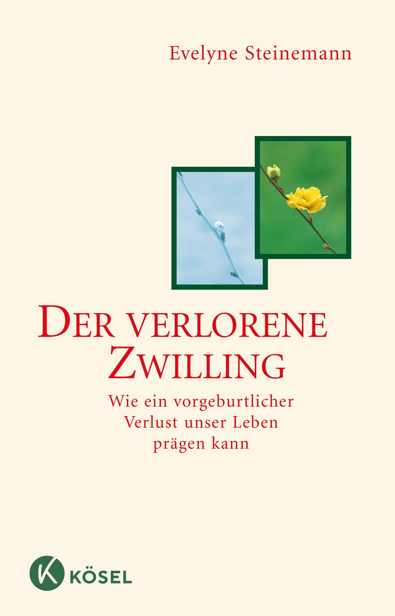 Product Image: Der verlorene Zwilling