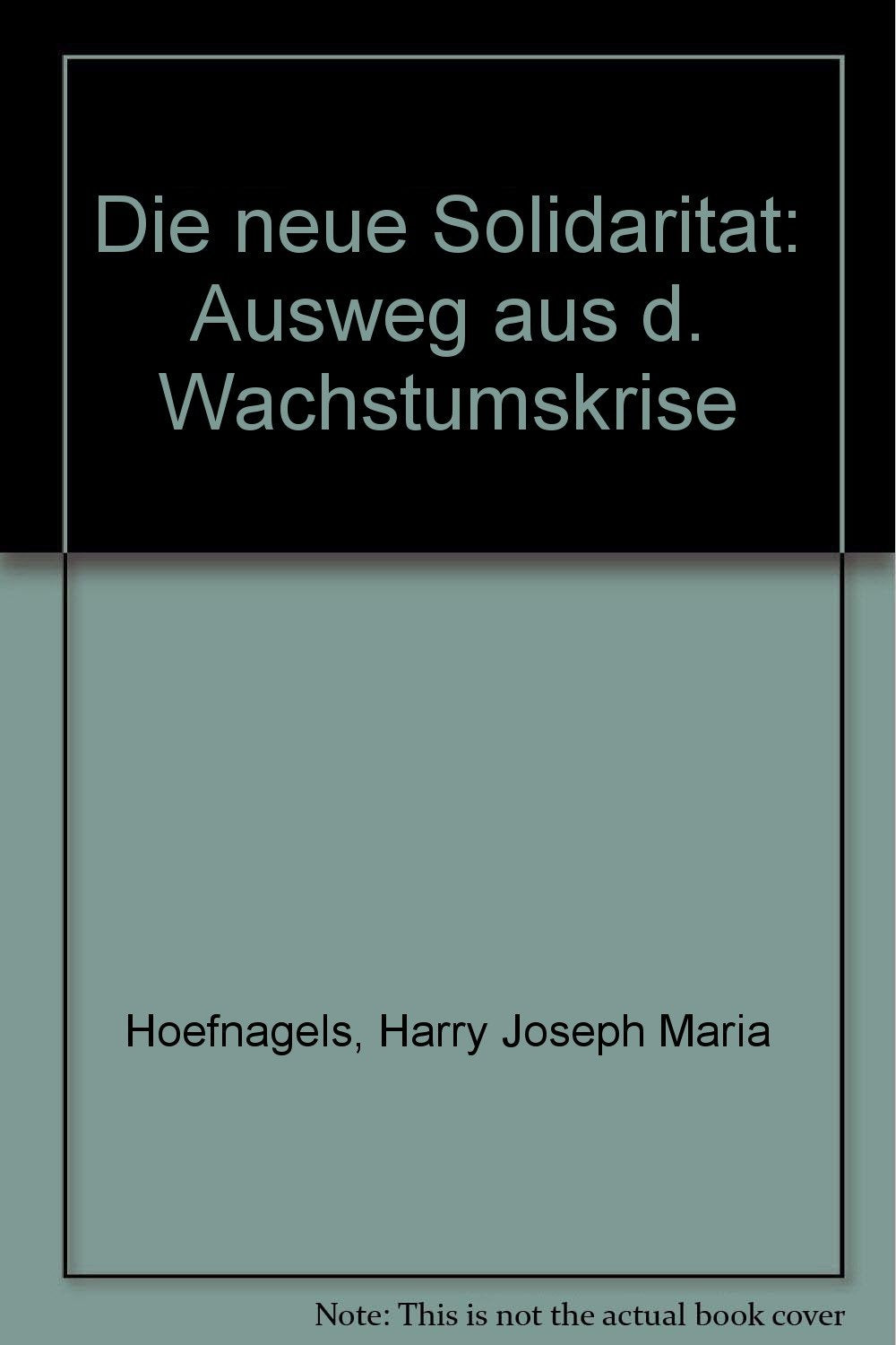 Die neue Solidarität. Ausweg aus der Wachstumskrise Business, Finance & Career