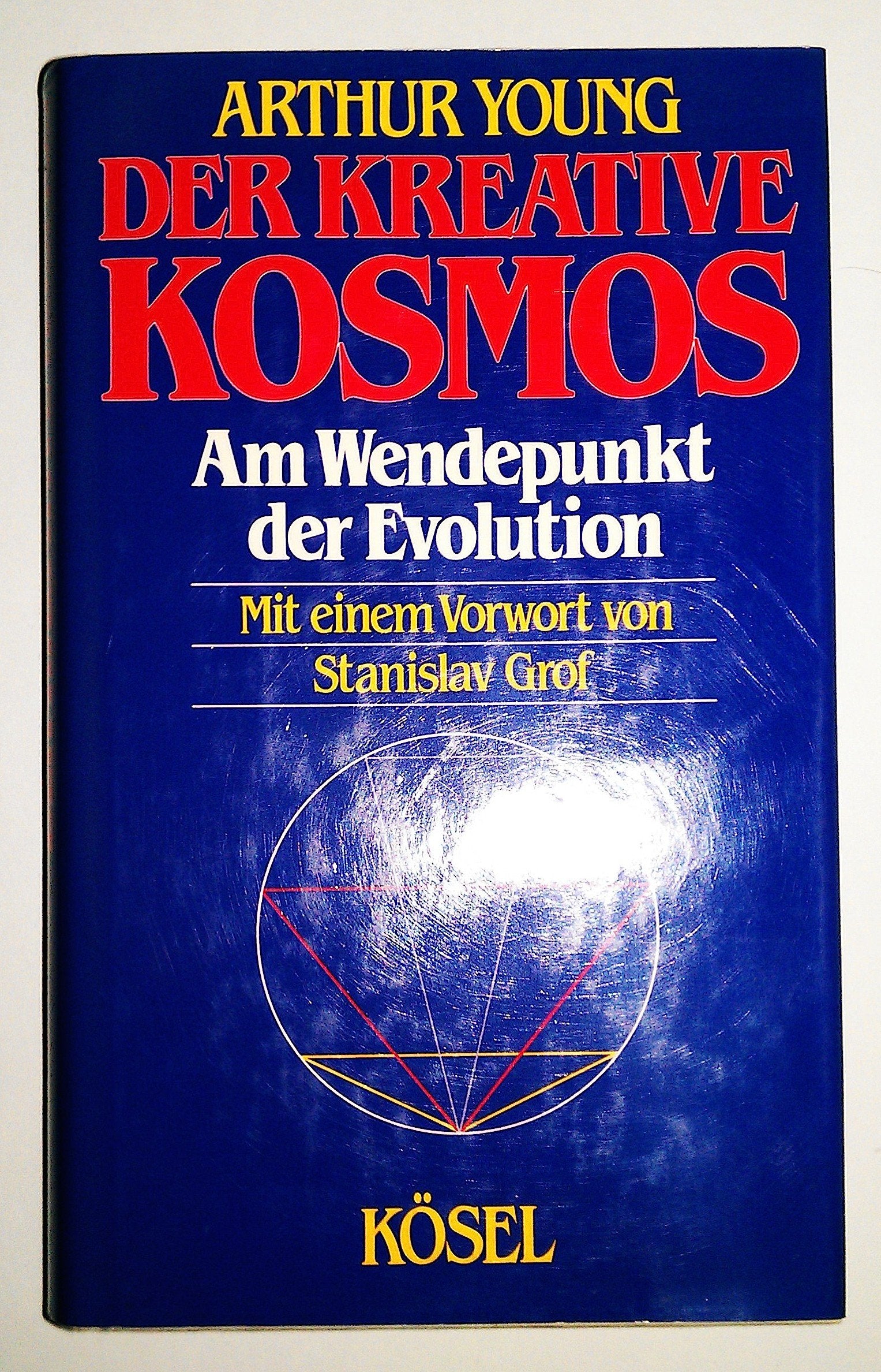 Der kreative Kosmos. Am Wendepunkt der Evolution Philosophy