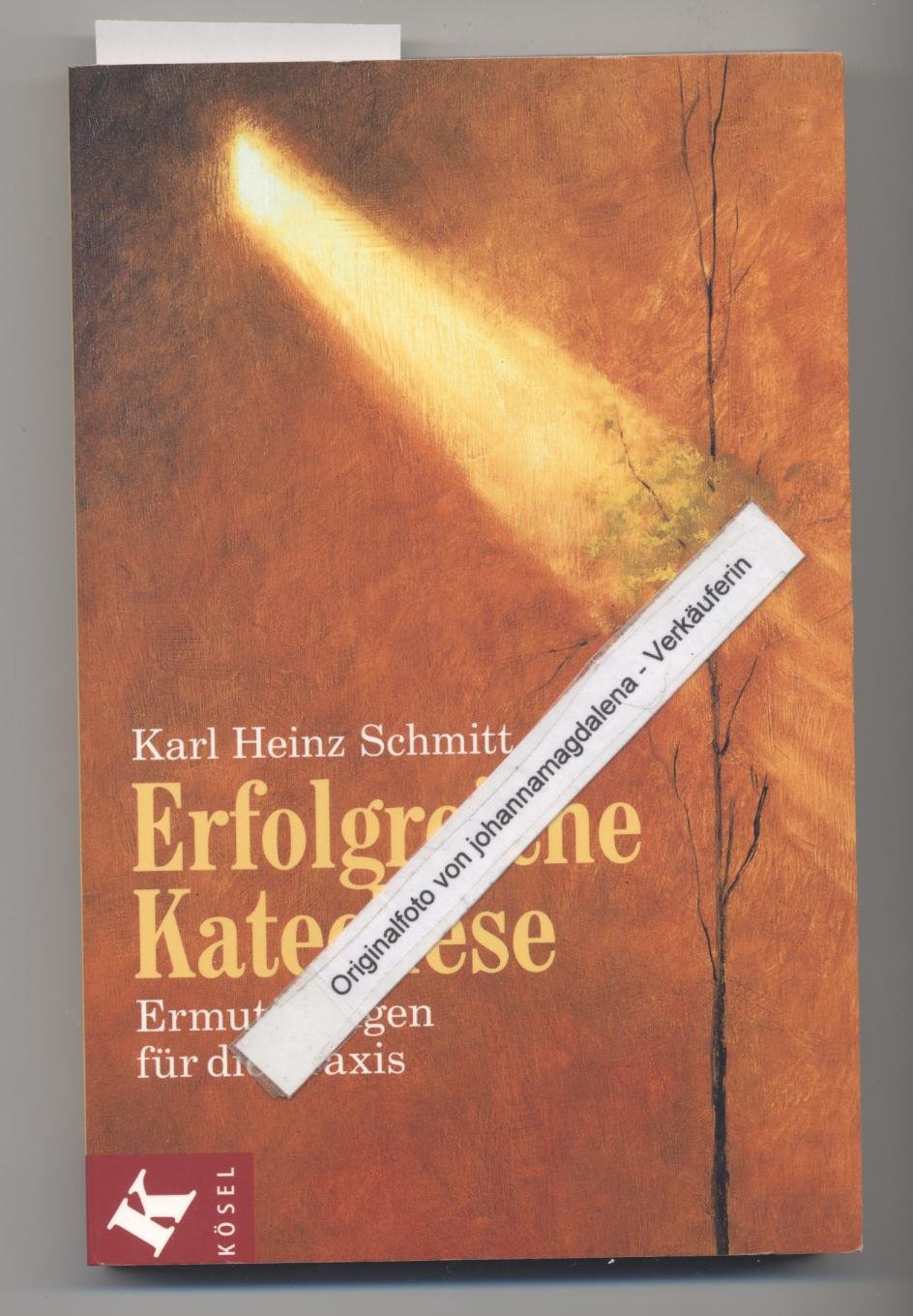 Erfolgreiche Katechese: Ermutigungen für die Praxis Books