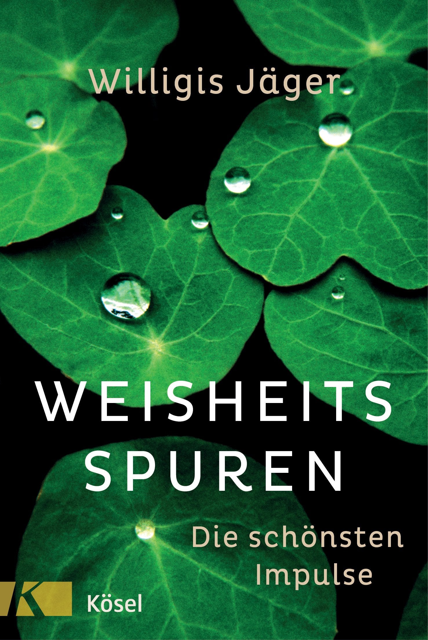 Product Image: Weisheitsspuren