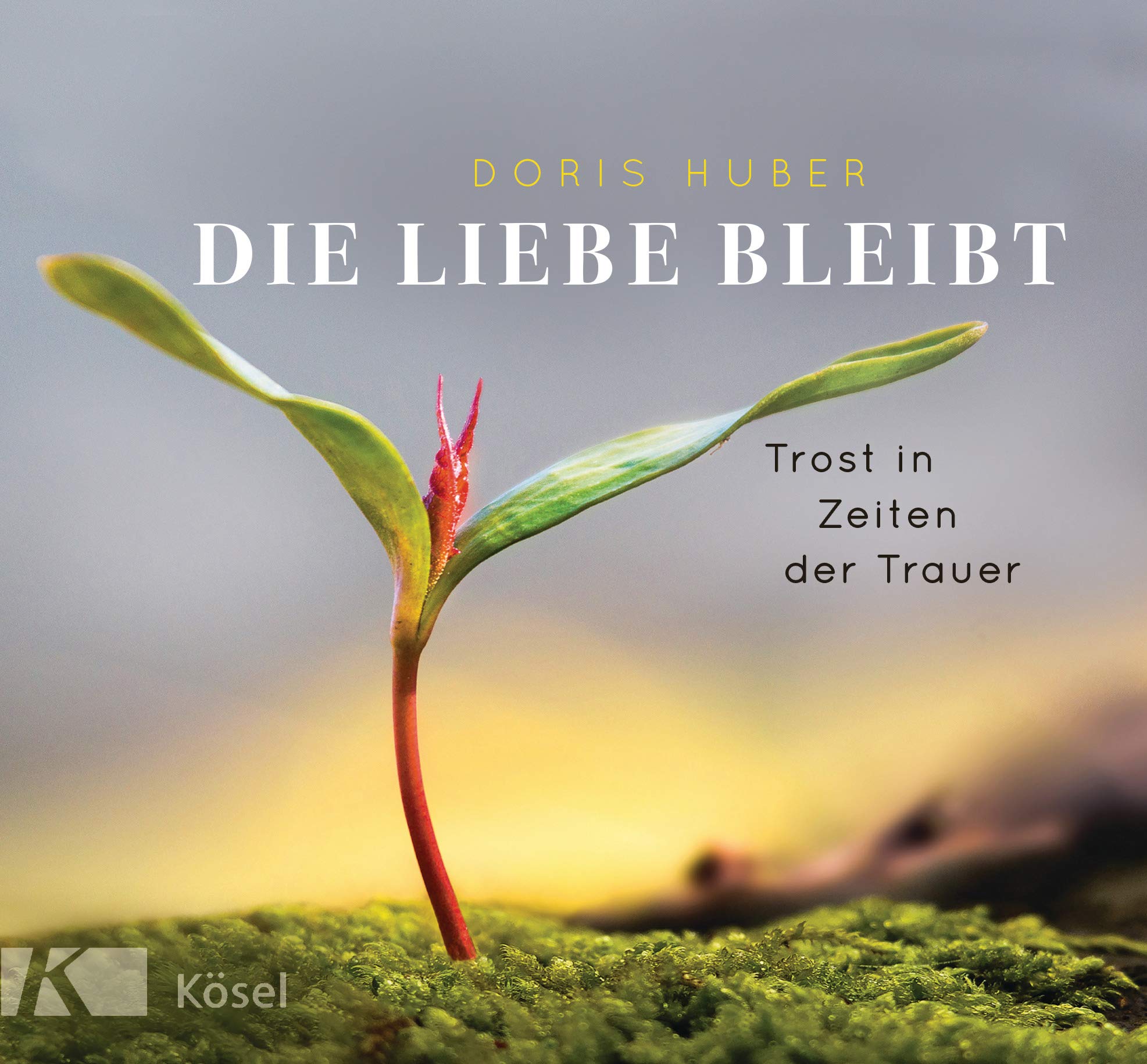 Product Image: Die Liebe bleibt