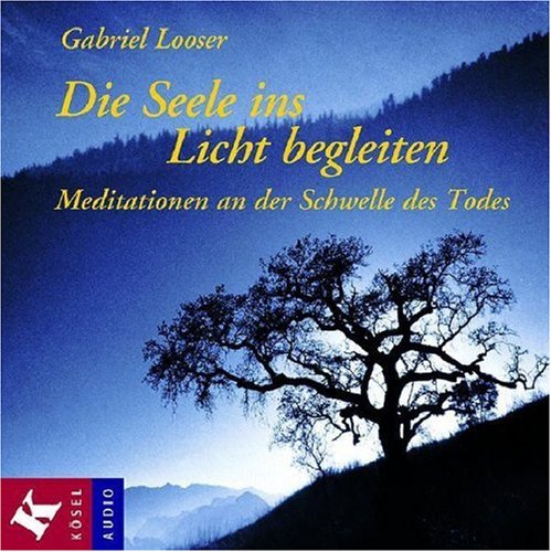 Die Seele ins Licht begleiten: Meditationen an der Schwelle des Todes Business, Finance & Career