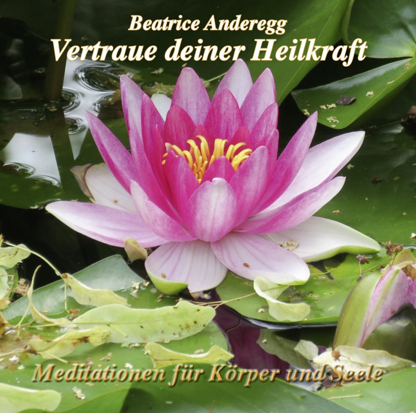 Vertraue deiner Heilkraft: Meditationen für Körper und Seele. Mit Musik von Franz Schuier Health, Nutrition & Fitness