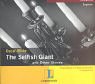 The Selfish Giant and Other Stories Study Guides Books