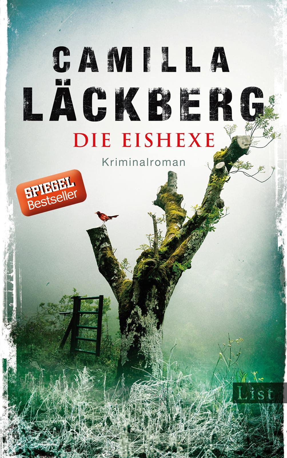 Die Eishexe Contemporary literature Books