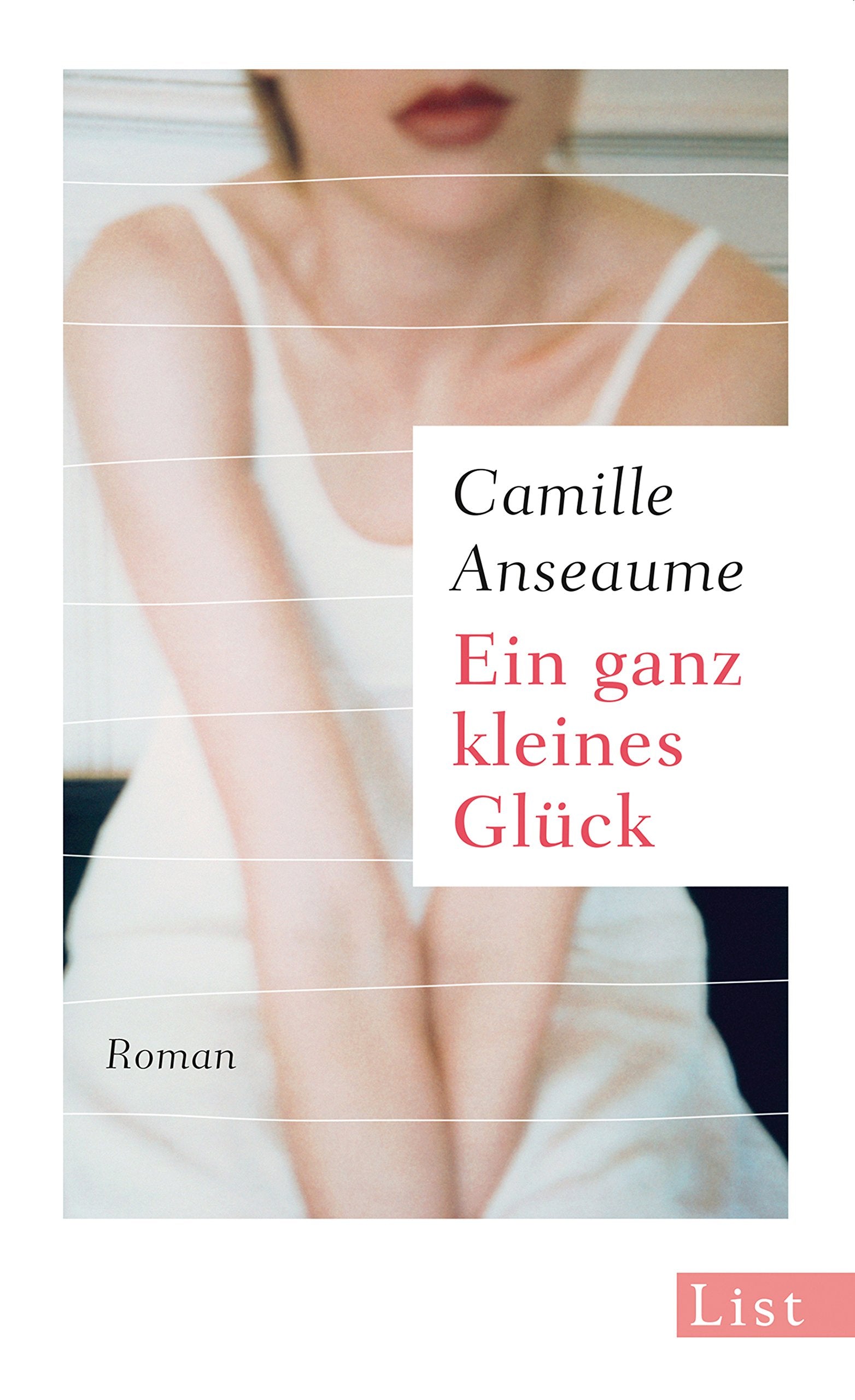 Ein ganz kleines Glück Contemporary literature