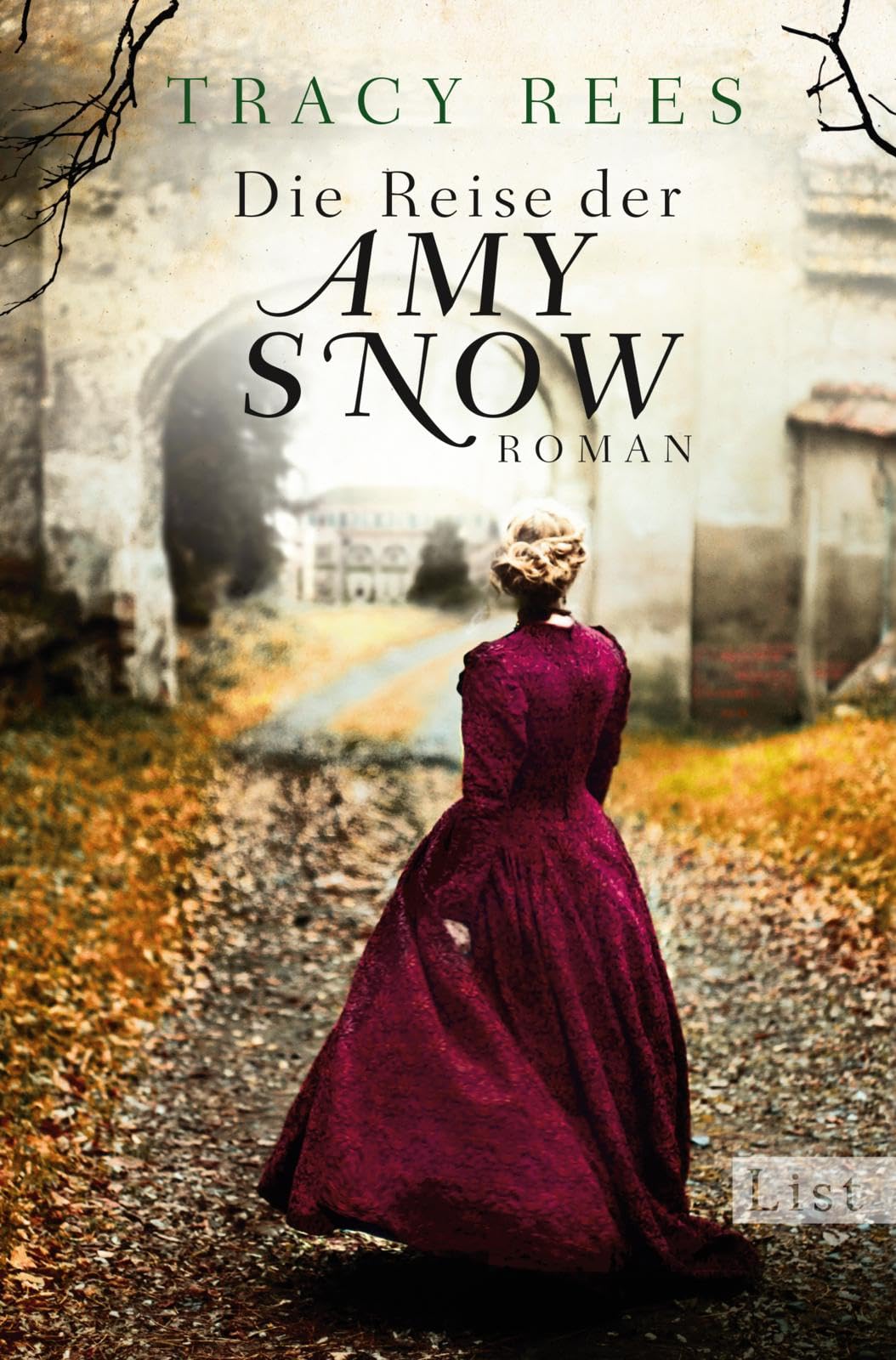 Die Reise der Amy Snow Contemporary literature Books