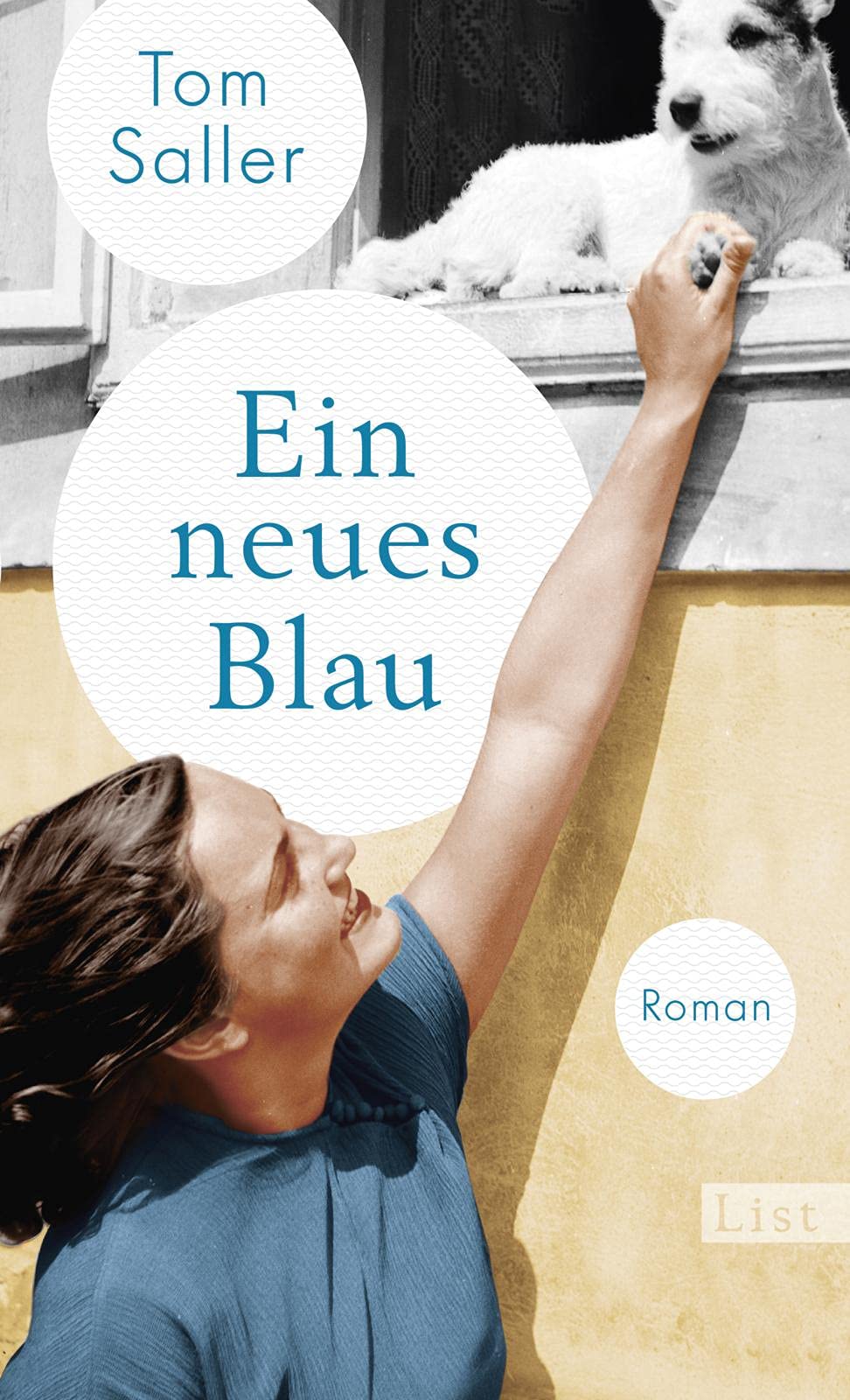 Ein neues Blau Contemporary literature Books