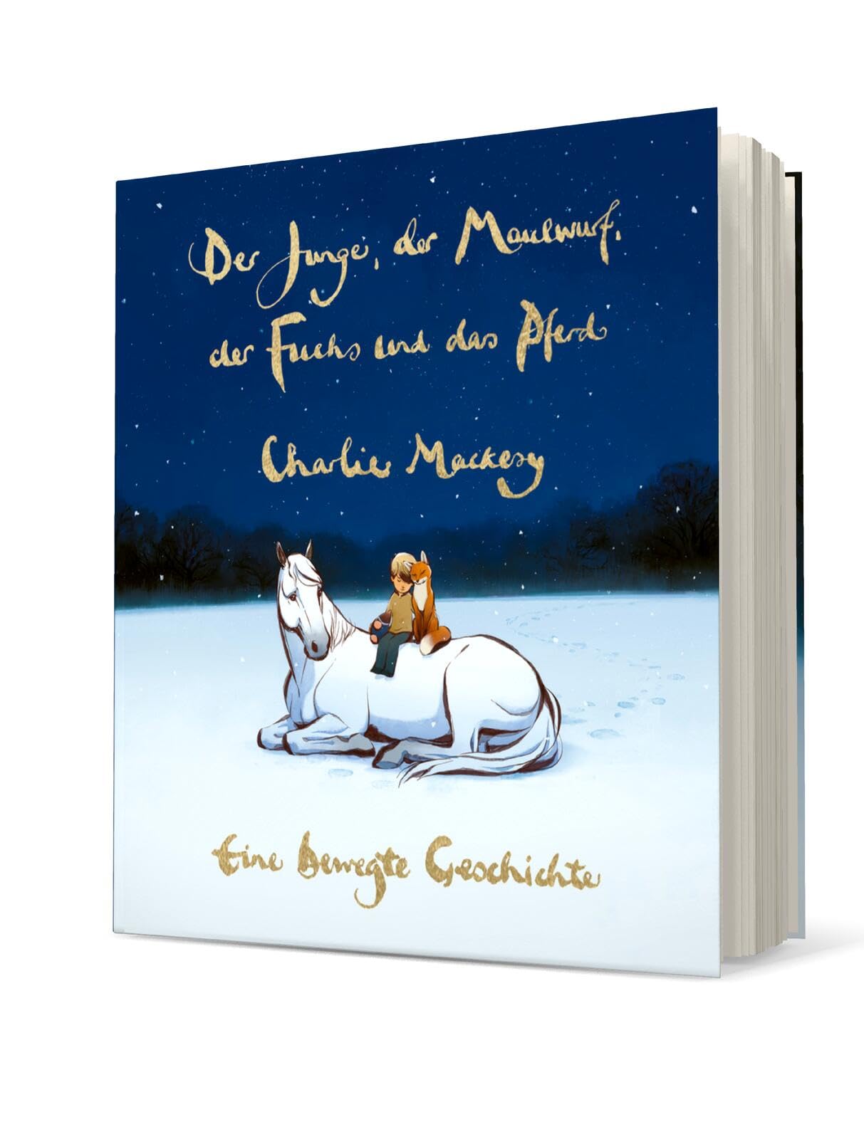 Der Junge, der Maulwurf, der Fuchs und das Pferd. Eine bewegte Geschichte Philosophy