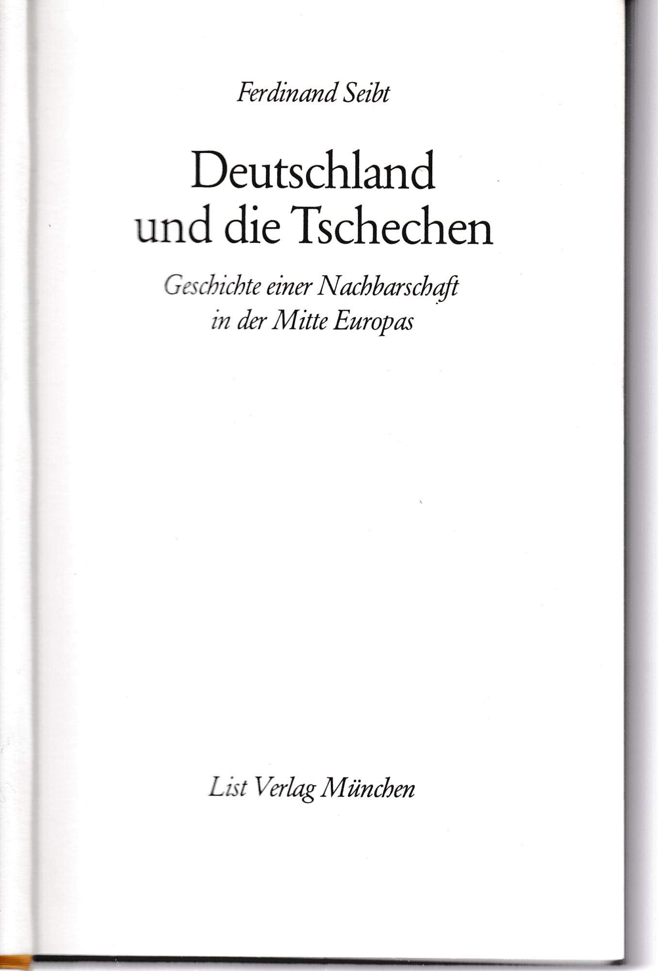 Deutschland und die Tschechen. Geschichte einer Nachbarschaft in der Mitte Europas Politics & History